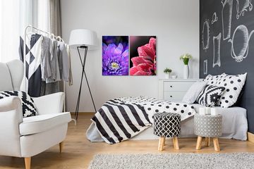 Sinus Art Leinwandbild 2 Bilder je 60x90cm Zinnien Blumen Blüten Sommer Zart Beruhigend Makrofotografie