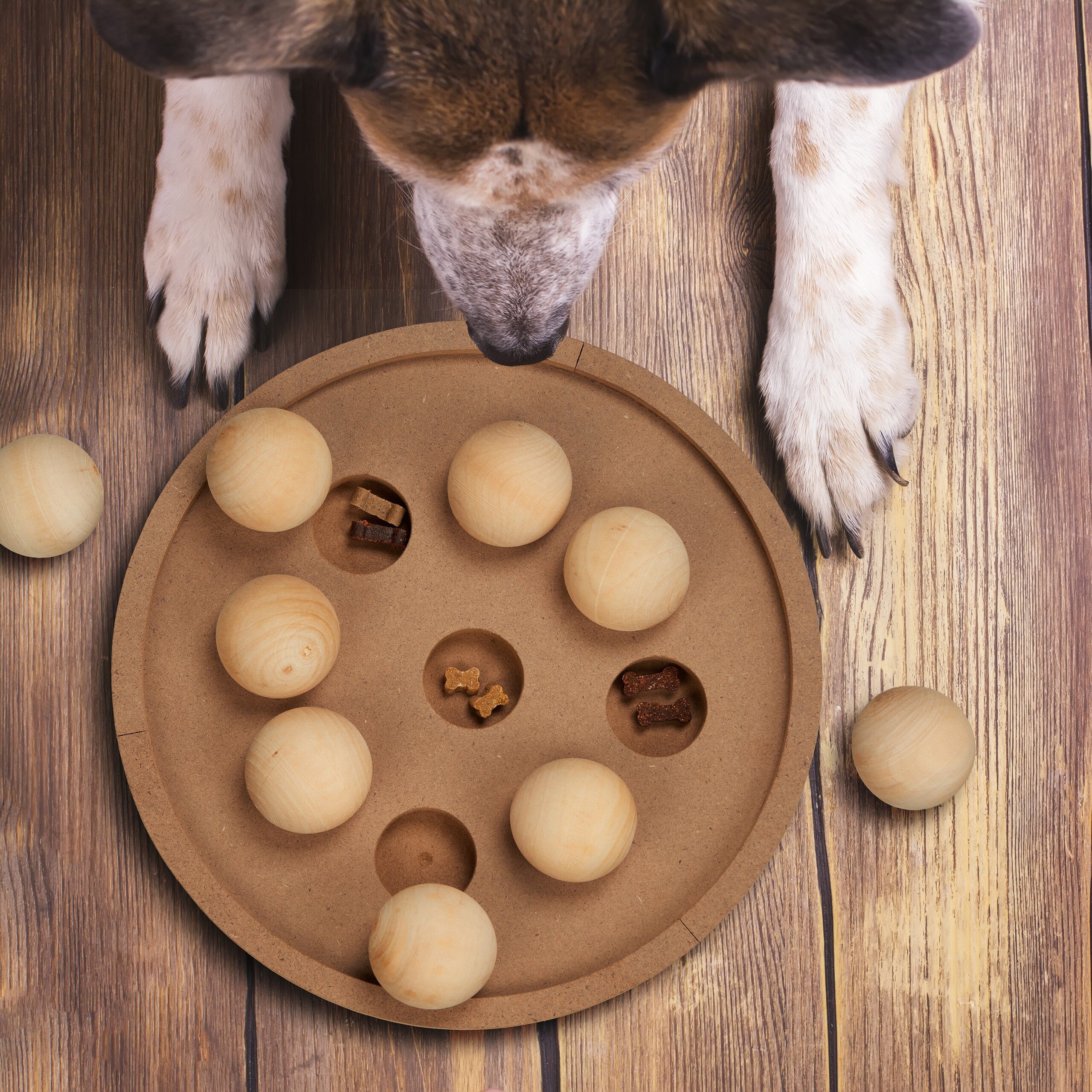 relaxdays Tier-Intelligenzspielzeug Intelligenzspielzeug für Hunde & günstig online kaufen