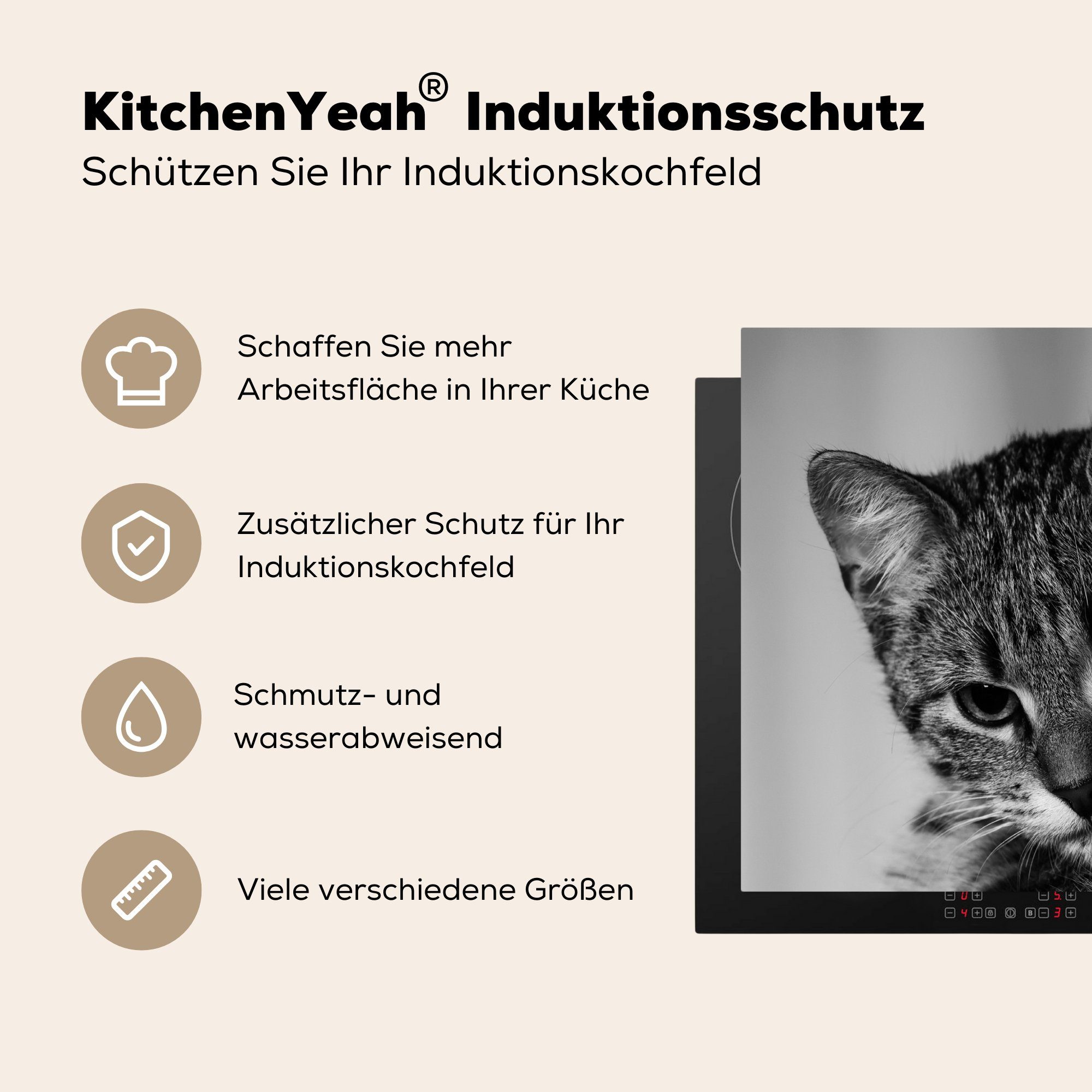 MuchoWow nutzbar, - (1 60x52 Herdblende-/Abdeckplatte tlg), cm, Vinyl, - Ceranfeldabdeckung Porträt Katze Arbeitsfläche Schwarz Weiß, - Mobile