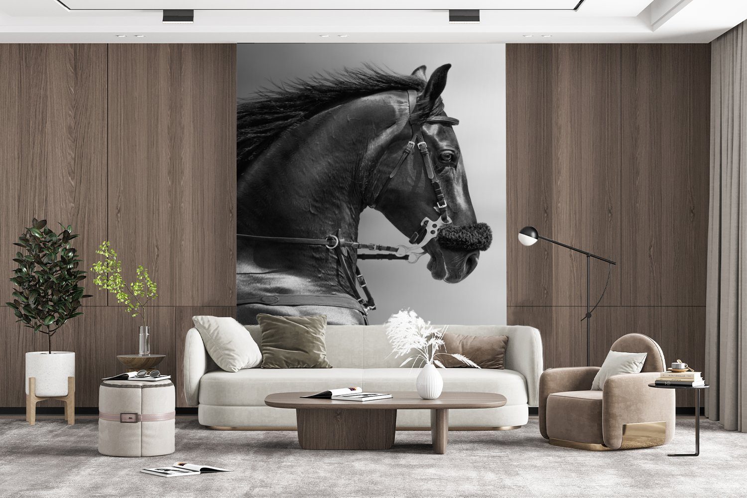 Tapete - Pferde - Matt, Vinyl MuchoWow (4 Montagefertig Tiere, Wohnzimmer, Wandtapete bedruckt, Fototapete Porträt St), Schwarz - für