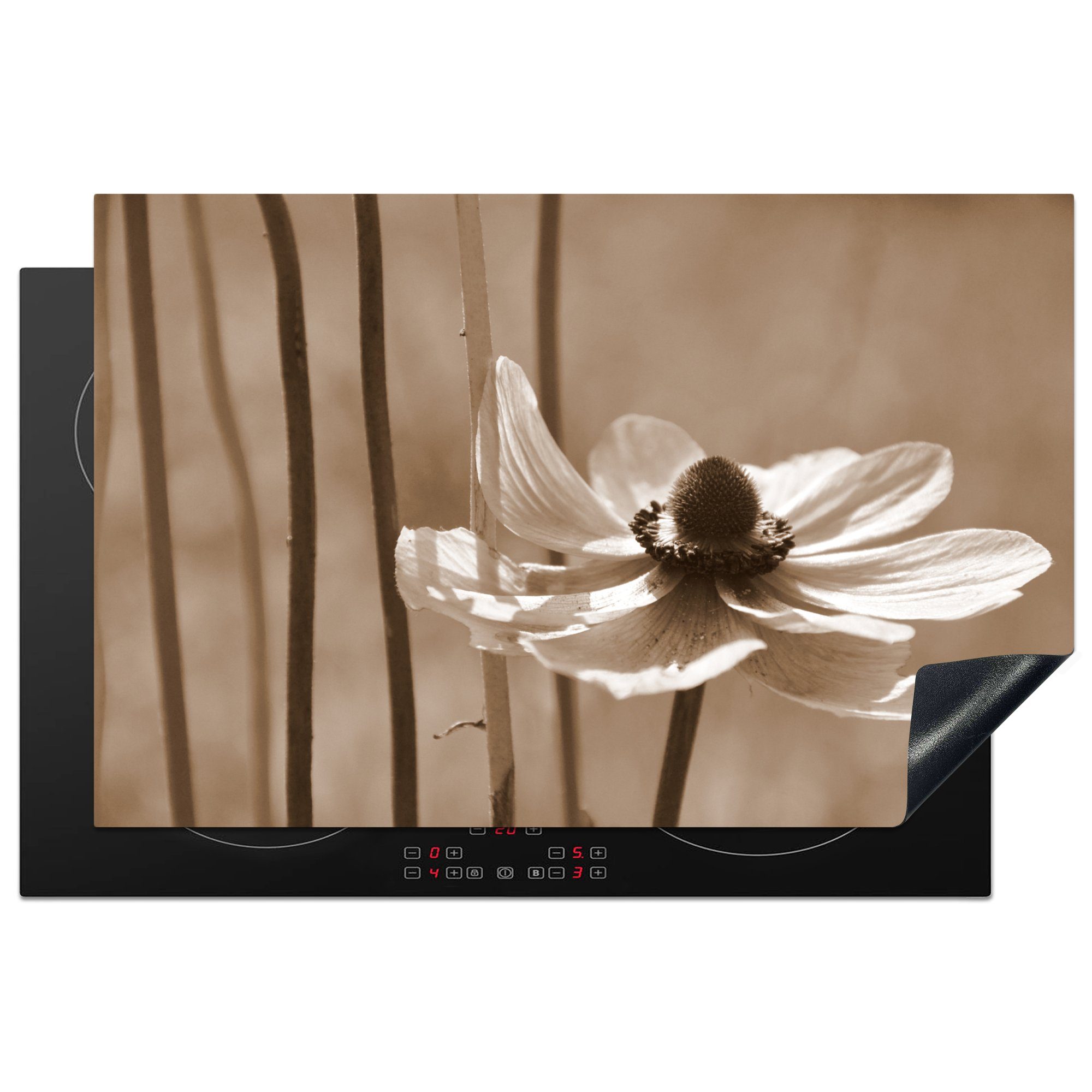 MuchoWow Herdblende-/Abdeckplatte Blume der Anemone Sepia-Fotodruck, Vinyl, (1 tlg), 81x52 cm, Induktionskochfeld Schutz für die küche, Ceranfeldabdeckung