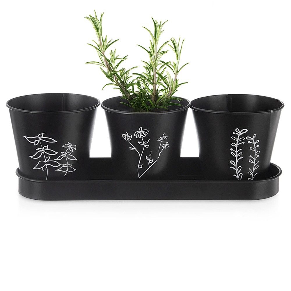 Orion Group Kräutertopf Mit Pflanzenmotiven in Schwarz aus Metall BLACKLINE 11x10,5cm (4 St), mit Untersetzer mit Drainagelöchern