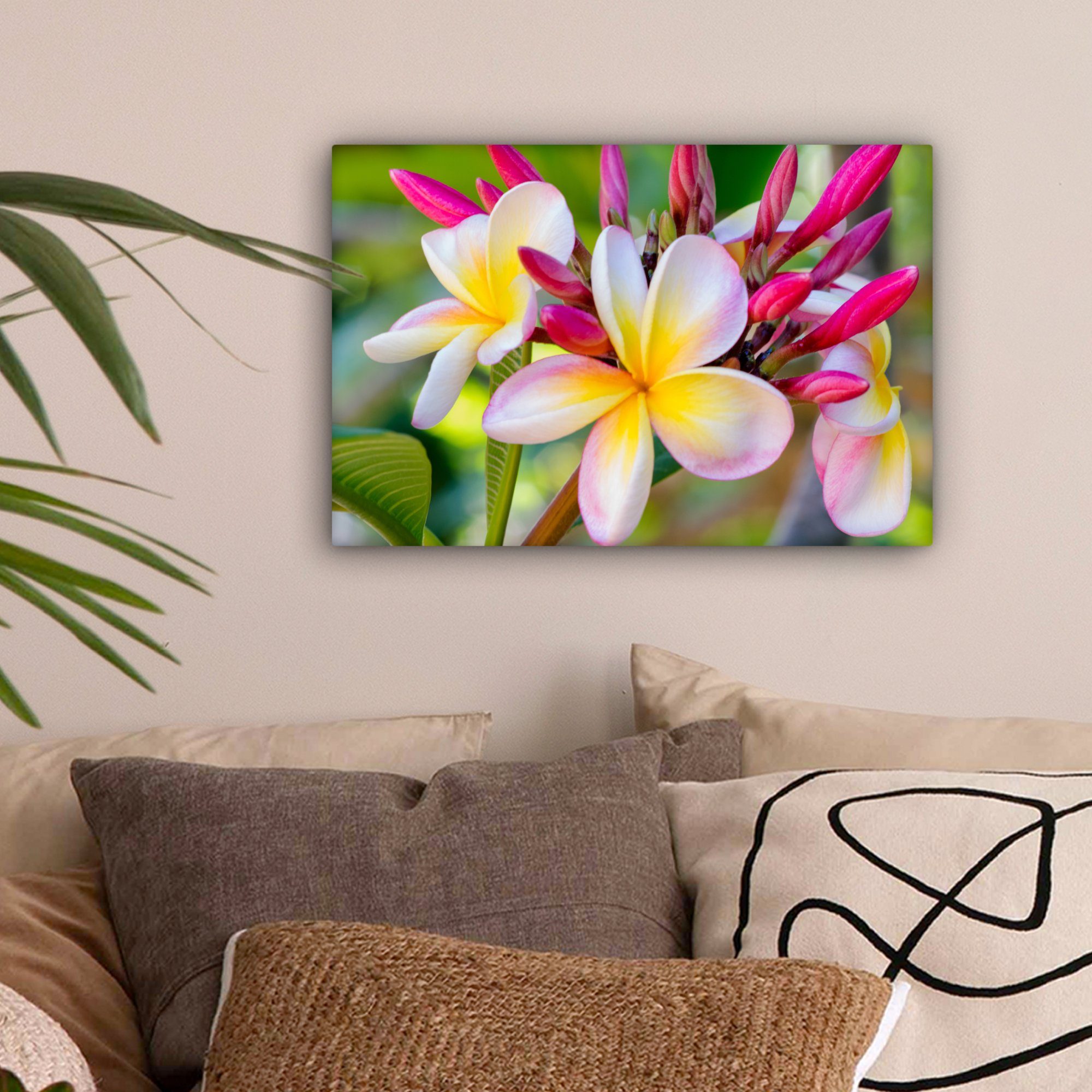 - Leinwandbild cm Farben, Plumeria St), OneMillionCanvasses® Blumen Wandbild 30x20 (1 - Aufhängefertig, Leinwandbilder, Wanddeko,