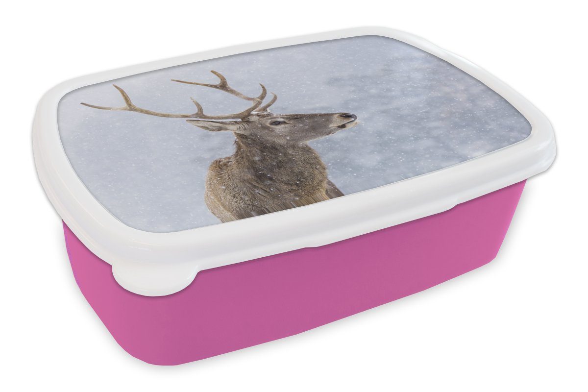 (2-tlg), Kunststoff, Erwachsene, rosa Lunchbox Brotdose - für Brotbox Schnee - Winter, Snackbox, Mädchen, MuchoWow Kinder, Hirsche Kunststoff