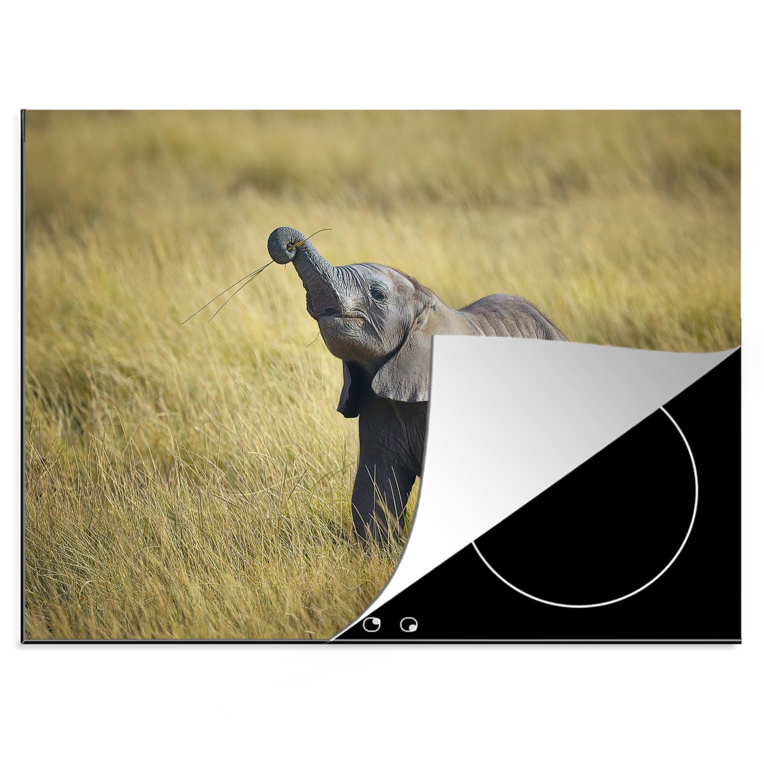MuchoWow Herdblende-/Abdeckplatte Elefantenbaby lernt, Gras zu fressen, Vinyl, (1 tlg), 70x52 cm, Mobile Arbeitsfläche nutzbar, Ceranfeldabdeckung