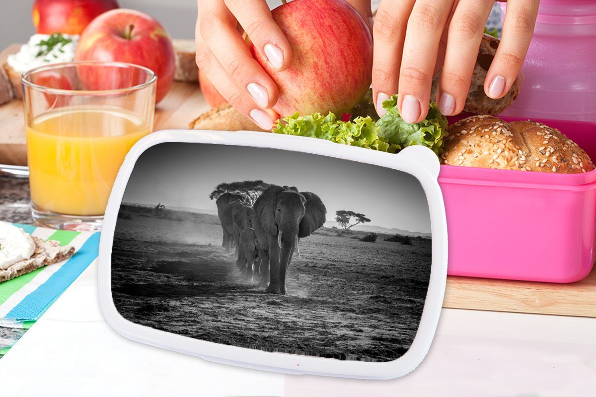 Weiß, - - für rosa Lunchbox Tiere Kunststoff, Elefant Brotbox Erwachsene, - Snackbox, Brotdose Einfarbig - Kunststoff MuchoWow Kinder, (2-tlg), Mädchen, Schwarz