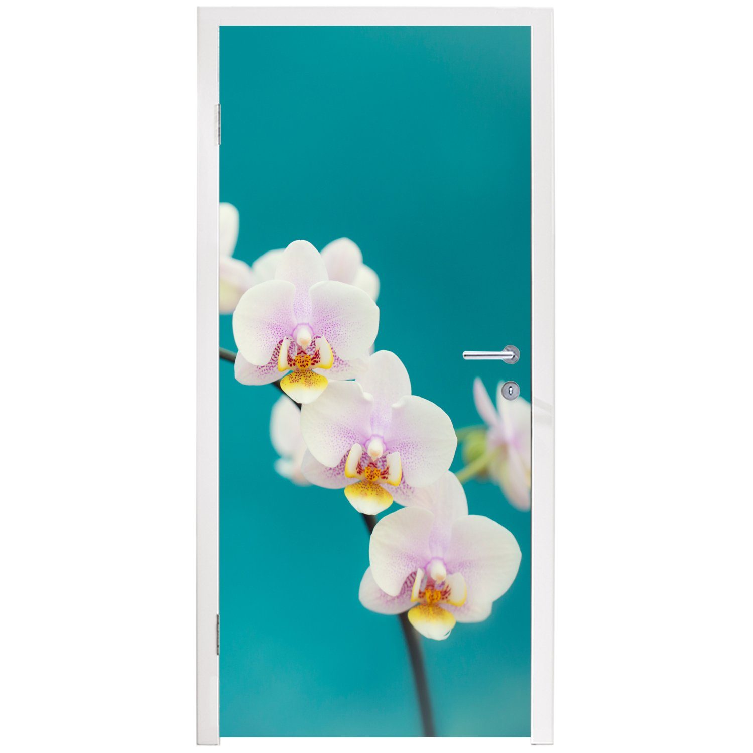 - St), Fototapete Pflanze - Weiß Orchidee Türtapete Tür, für bedruckt, - (1 - cm Blumen Matt, MuchoWow Türaufkleber, 75x205 Lila,