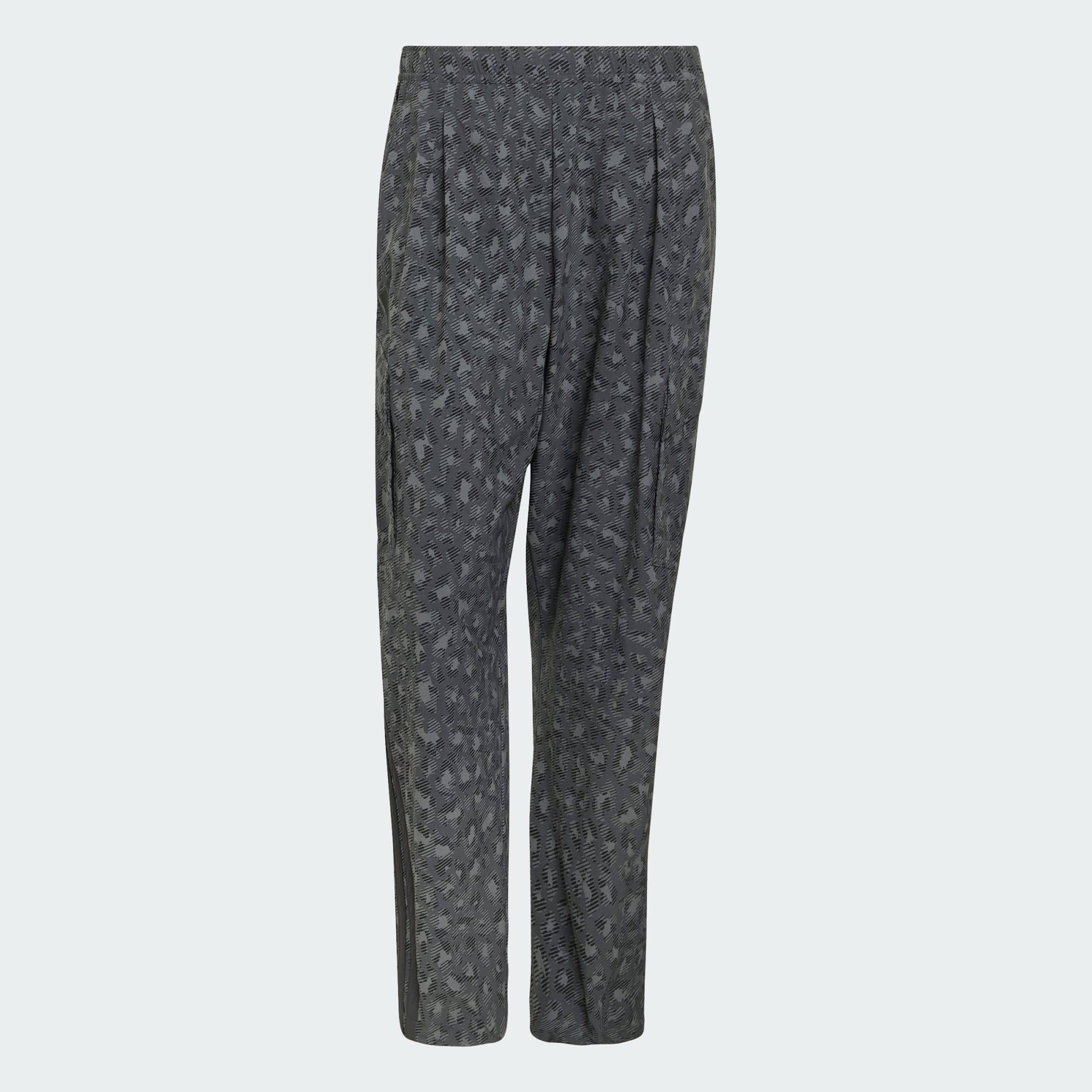 adidas TERREX Cargohose TERREX XPLORIC CLIMA365 CARGOHOSE (1-tlg)
