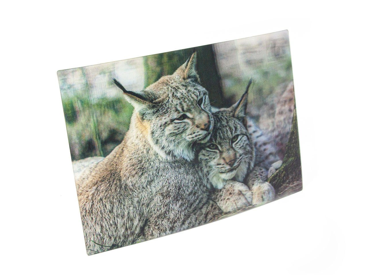 Thumbnail - Cornelißen Postkarte 3D Postkarte Luchse, 3D