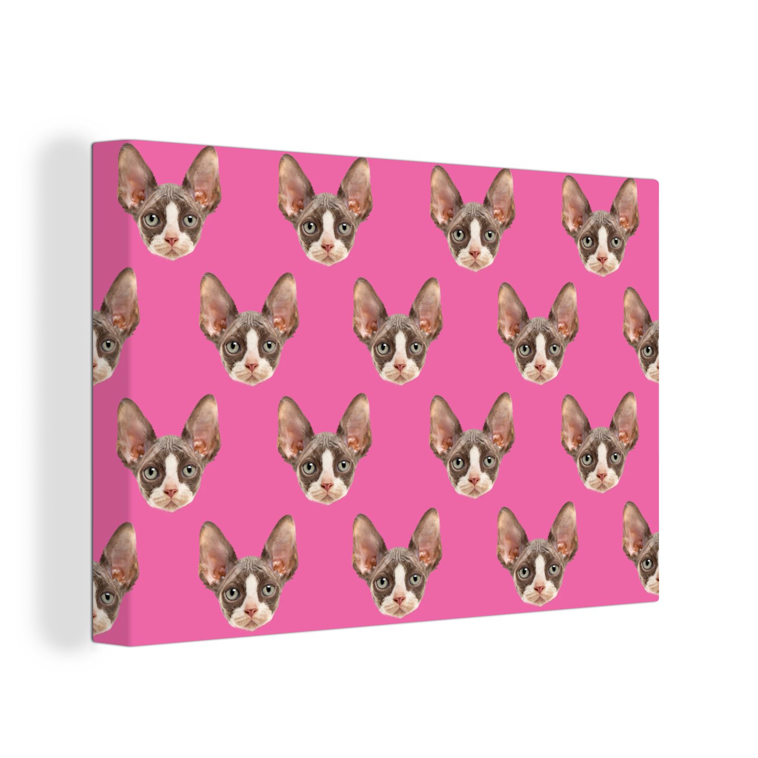 OneMillionCanvasses® Leinwandbild Haustier - Rosa - Muster, (1 St), Wandbild Leinwandbilder, Aufhängefertig, Wanddeko, 30x20 cm