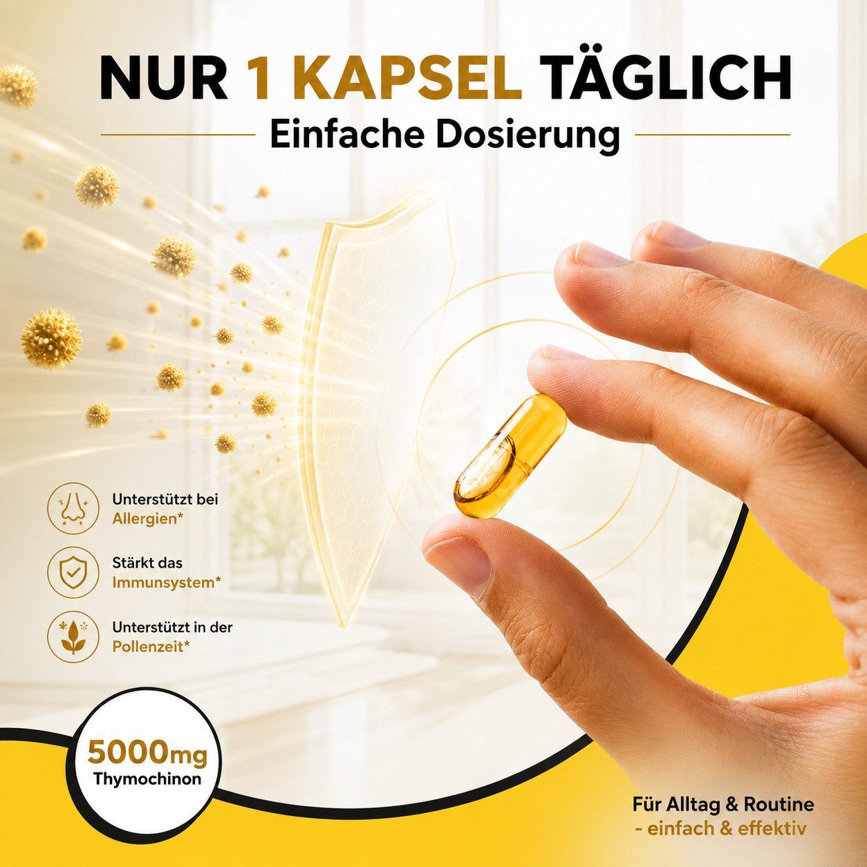 BIOLAVIVA Speiseöl Bio Schwarzkümmelöl Kapseln - hochdosiert - 5% Thymochinon -