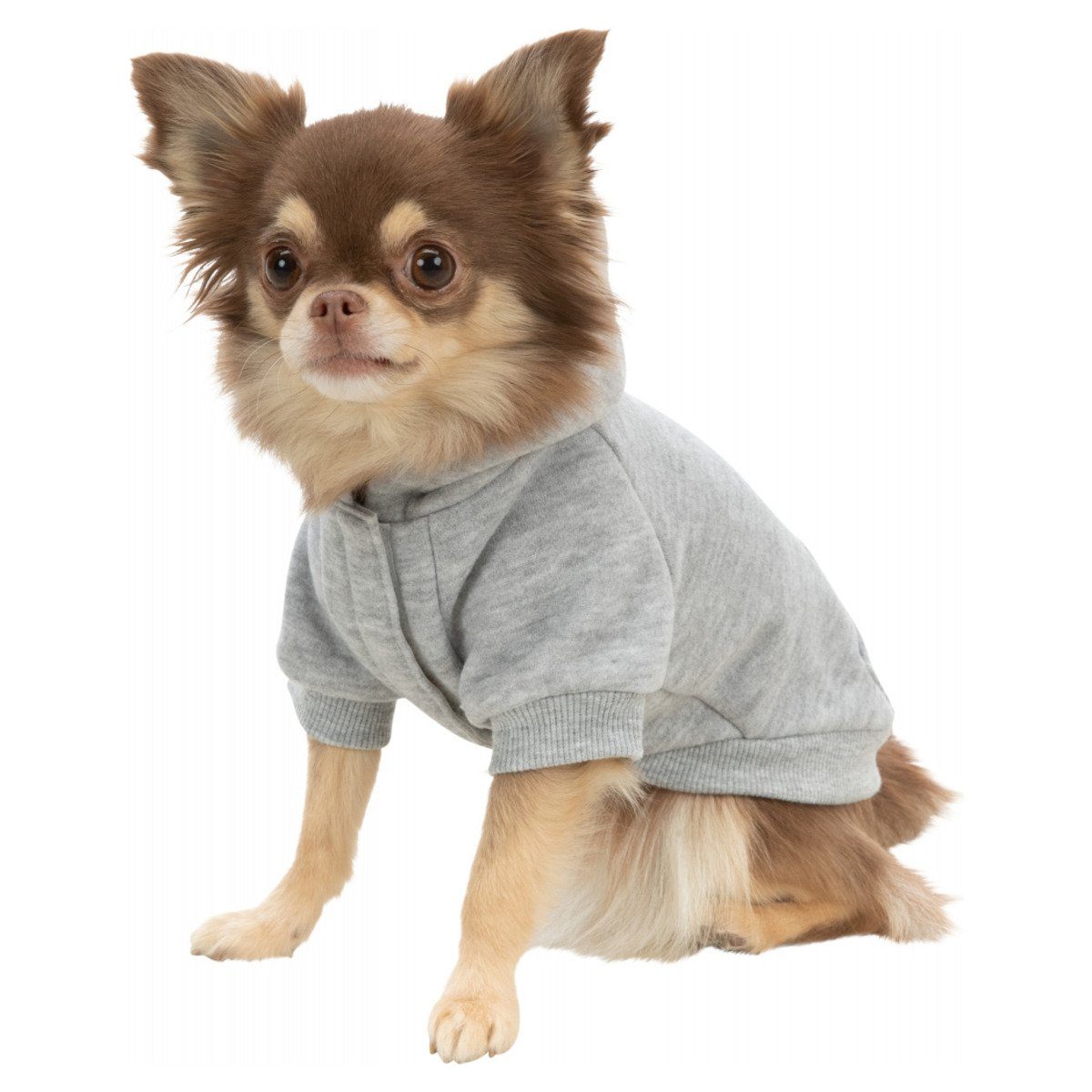 TRIXIE Hundepullover Hoodie Rainbow Falls hellgrau