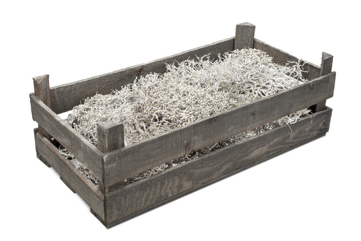 NaDeco Bastelnaturmaterial Mauskraut Deko Zweige