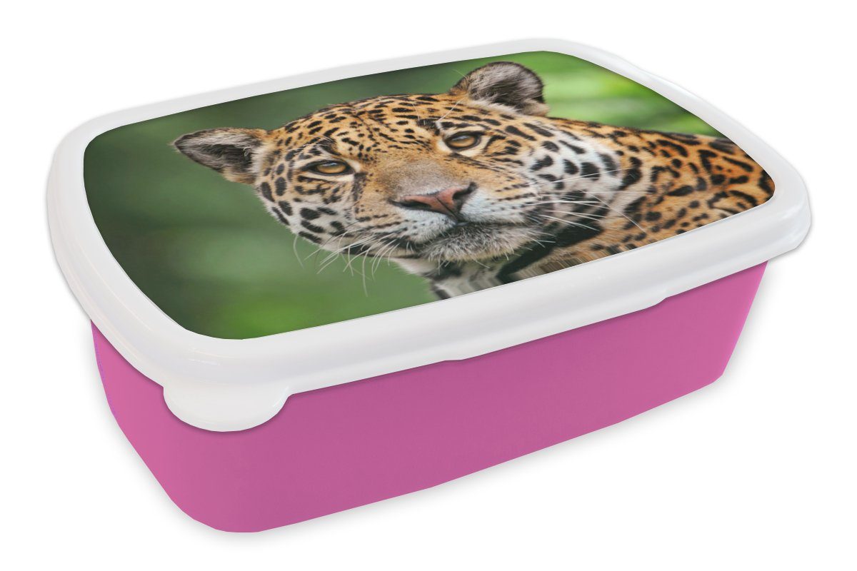MuchoWow Kunststoff, Erwachsene, Brotdose Snackbox, rosa Lunchbox Brotbox - Kinder, (2-tlg), Natur Leopard Kunststoff Mädchen, Gefleckt, für -