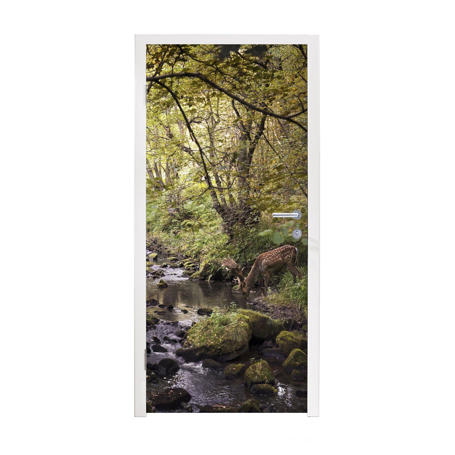MuchoWow Türtapete Hirsch - Baum - Wald, Matt, bedruckt, (1 St), Fototapete für Tür, Türaufkleber, 75x205 cm | Türtapeten