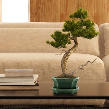 HappySeed Pflanzschale Bonsai Schale aus Keramik mit Untersetzer (Jadegrün) - 11 x 6,5 x 9 cm