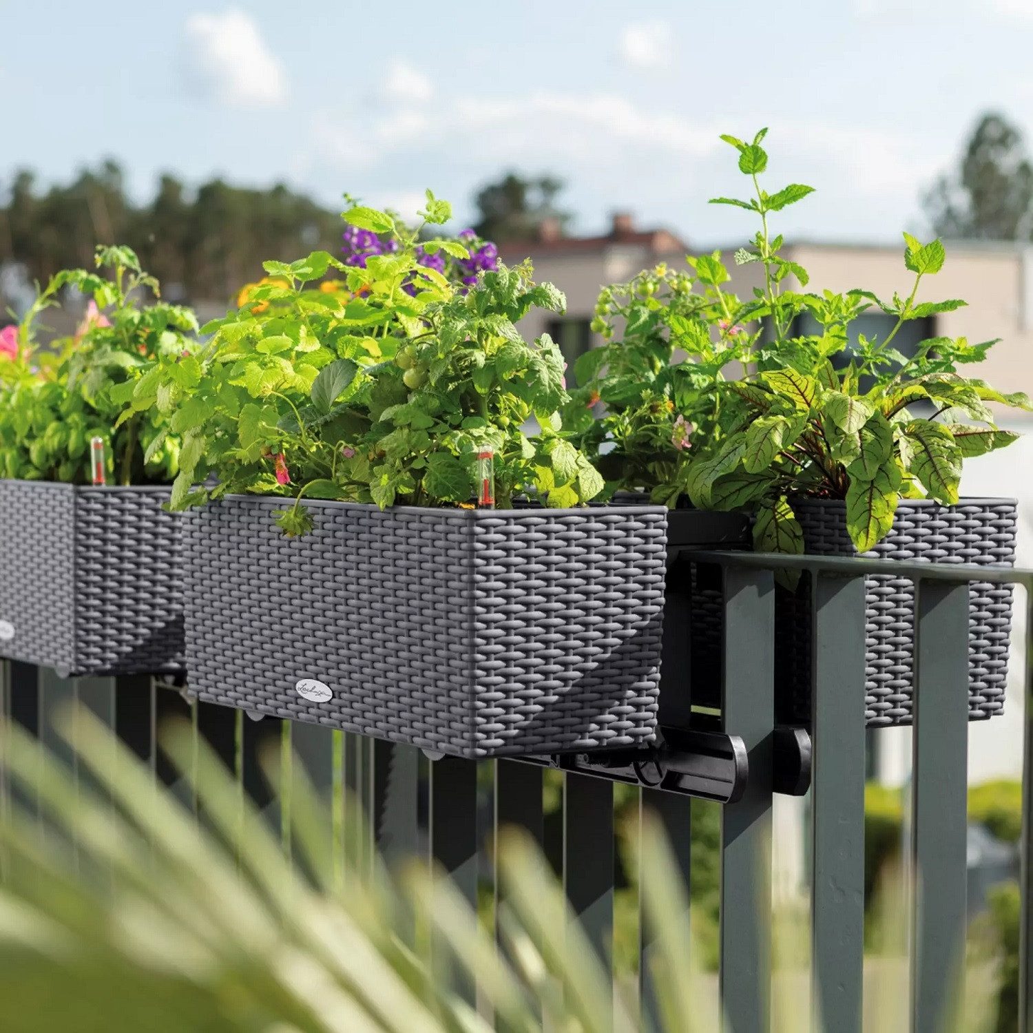 Lechuza® Balkonkasten Balconera Cottage 40 mokka