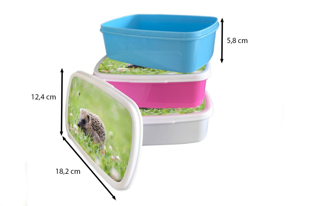 Igel für rosa Lunchbox Snackbox, MuchoWow Kunststoff, im Kleiner Gras, Kinder, Mädchen, Erwachsene, Kunststoff Brotdose (2-tlg), Brotbox
