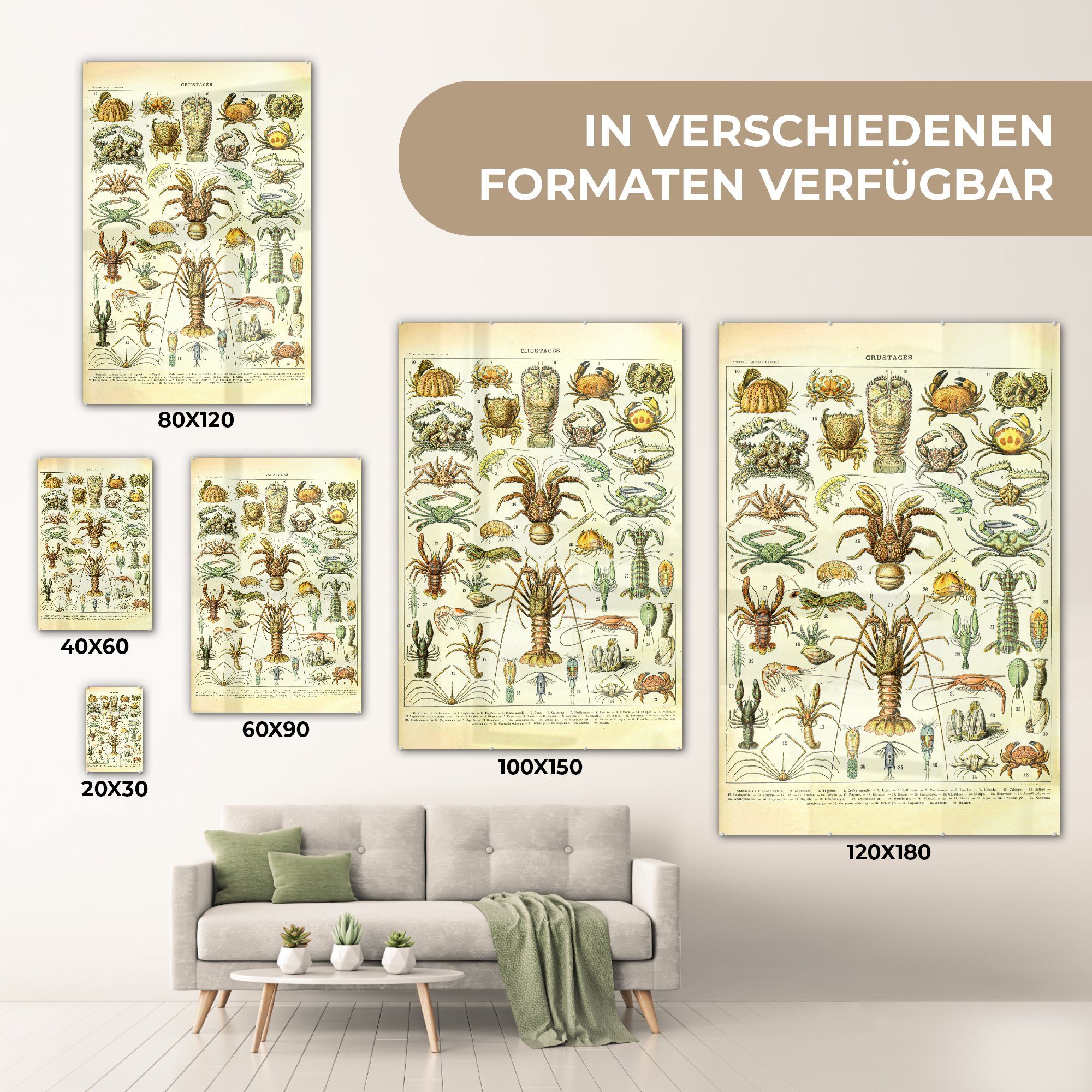 Glas - Tiere MuchoWow - Vintage - - Millot, Glas St), - Wanddekoration auf - Hummer - Glasbilder auf Foto bunt Wandbild Meerestiere Adolphe Acrylglasbild Bilder (1