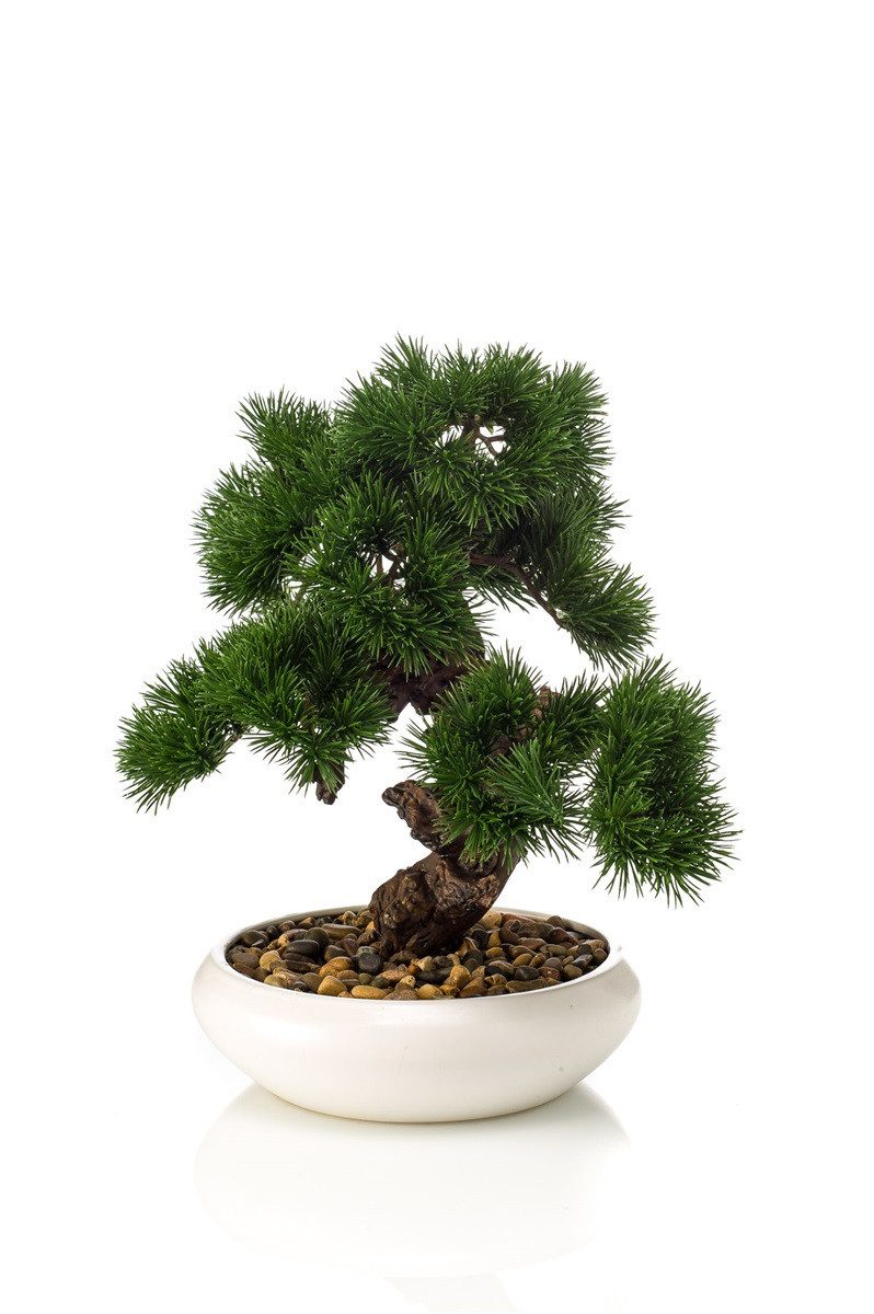 Kunstbonsai Kunst Bonsai Pinie MIRSANDA in Bonsaischale, 35cm Pinie, artplants, Höhe 35.0 cm