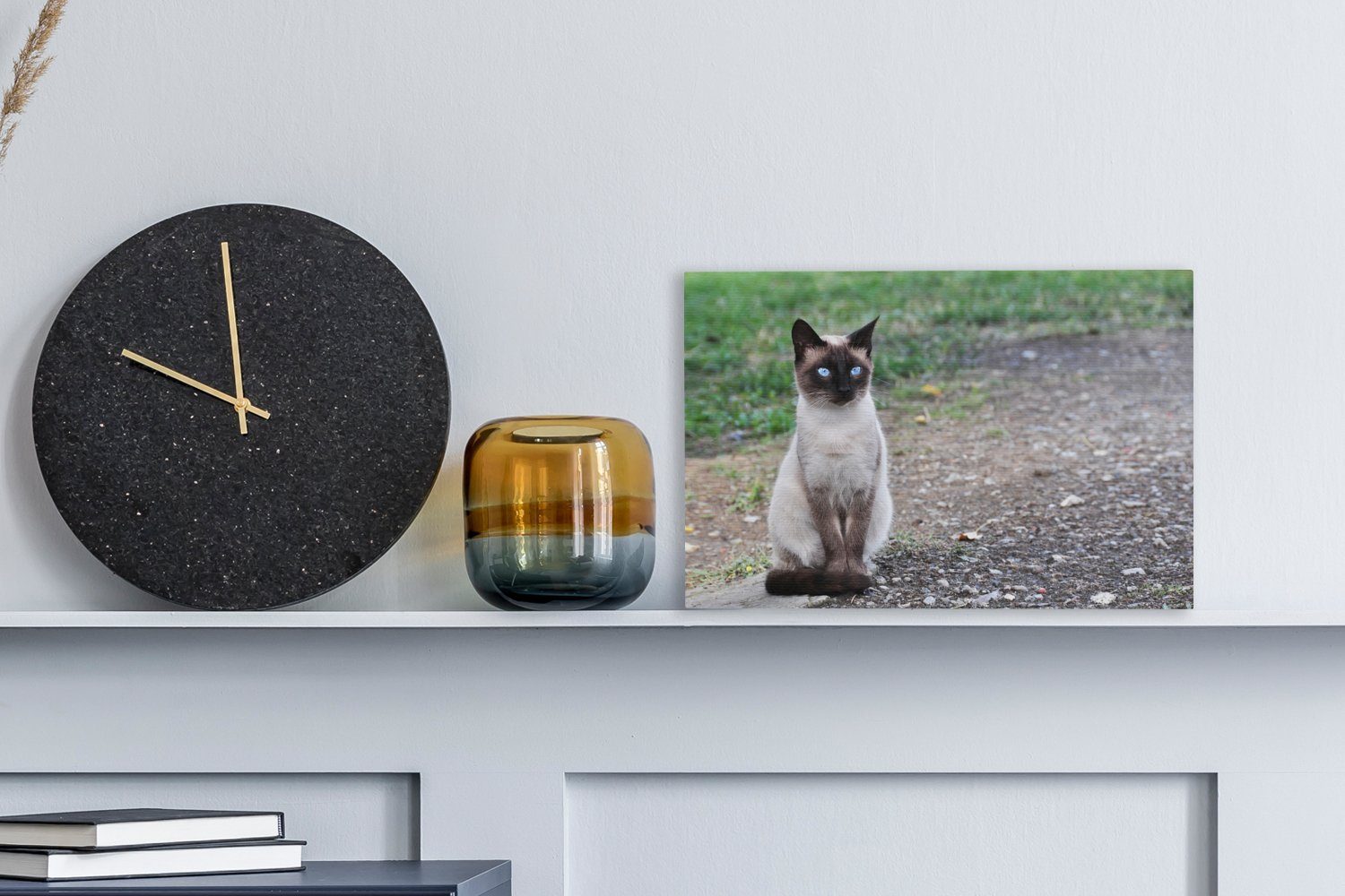 OneMillionCanvasses® Leinwandbild Siamesische Katze sitzt cm (1 Aufhängefertig, auf Leinwandbilder, einer St), Wandbild Kröte, Wanddeko, 30x20