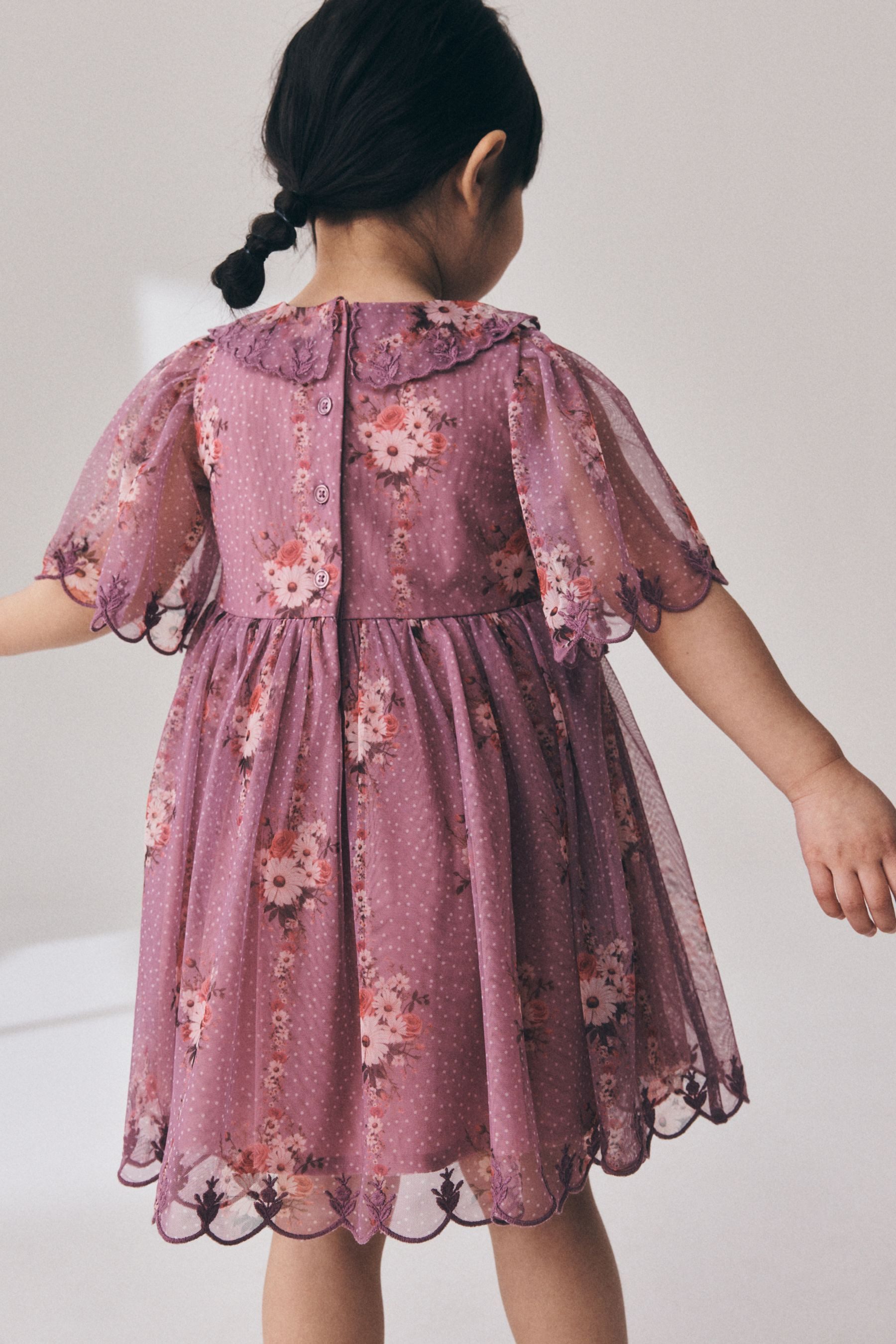 Next Partykleid Kurzärmeliges Festkleid mit Spitzenkragen (1-tlg) – Bild 5 von 5
