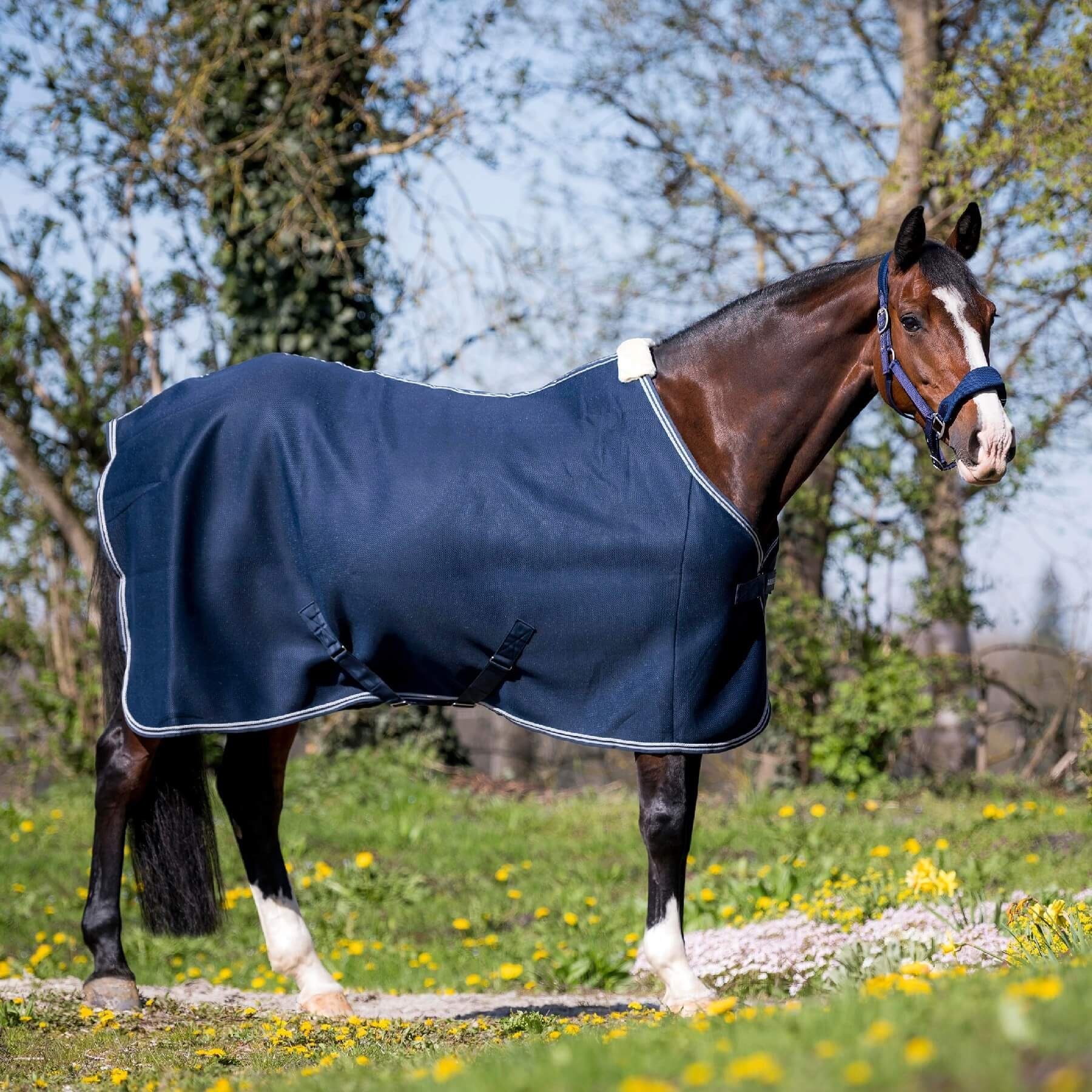 BUSSE Pferde-Abschwitzdecke BUSSE Abschwitzdecke 3D AIR