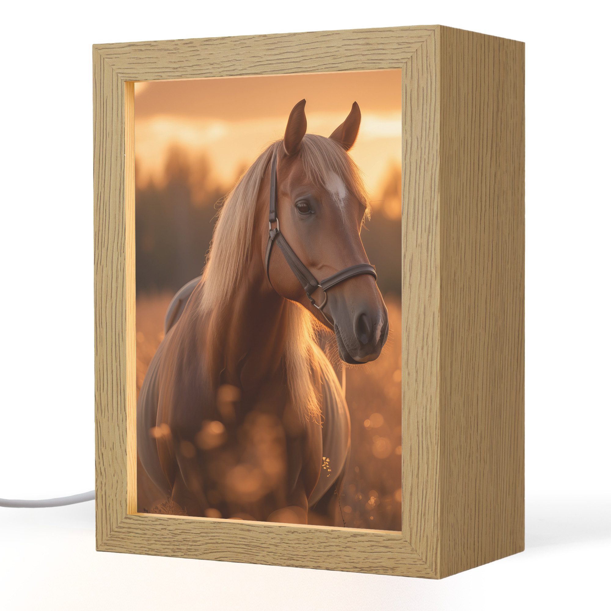 OnlyWow Tischleuchte Pferd - Natur - Tier - Braun - Tierporträt, Dimmbar, Farbwechsel, LED, Warmweiß, Kaltweiß, Neutralweiß Einstellbar, Tischlampe, Schreibtischlampe, Desk, Dimmbar, mit Kabel, LED