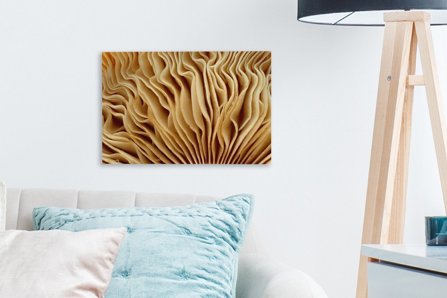 (1 Bild OneMillionCanvasses® Aufhängefertig, Wandbild Leinwandbild eines Wanddeko, cm St), 30x20 Leinwandbilder, Pilzes,