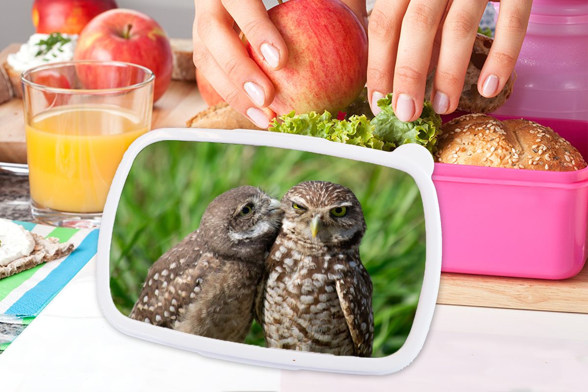 Brotdose Kunststoff Gras, (2-tlg), Kunststoff, Kinder, Mädchen, rosa MuchoWow Brotbox Erwachsene, Snackbox, Lunchbox - Vögel - für Eulen