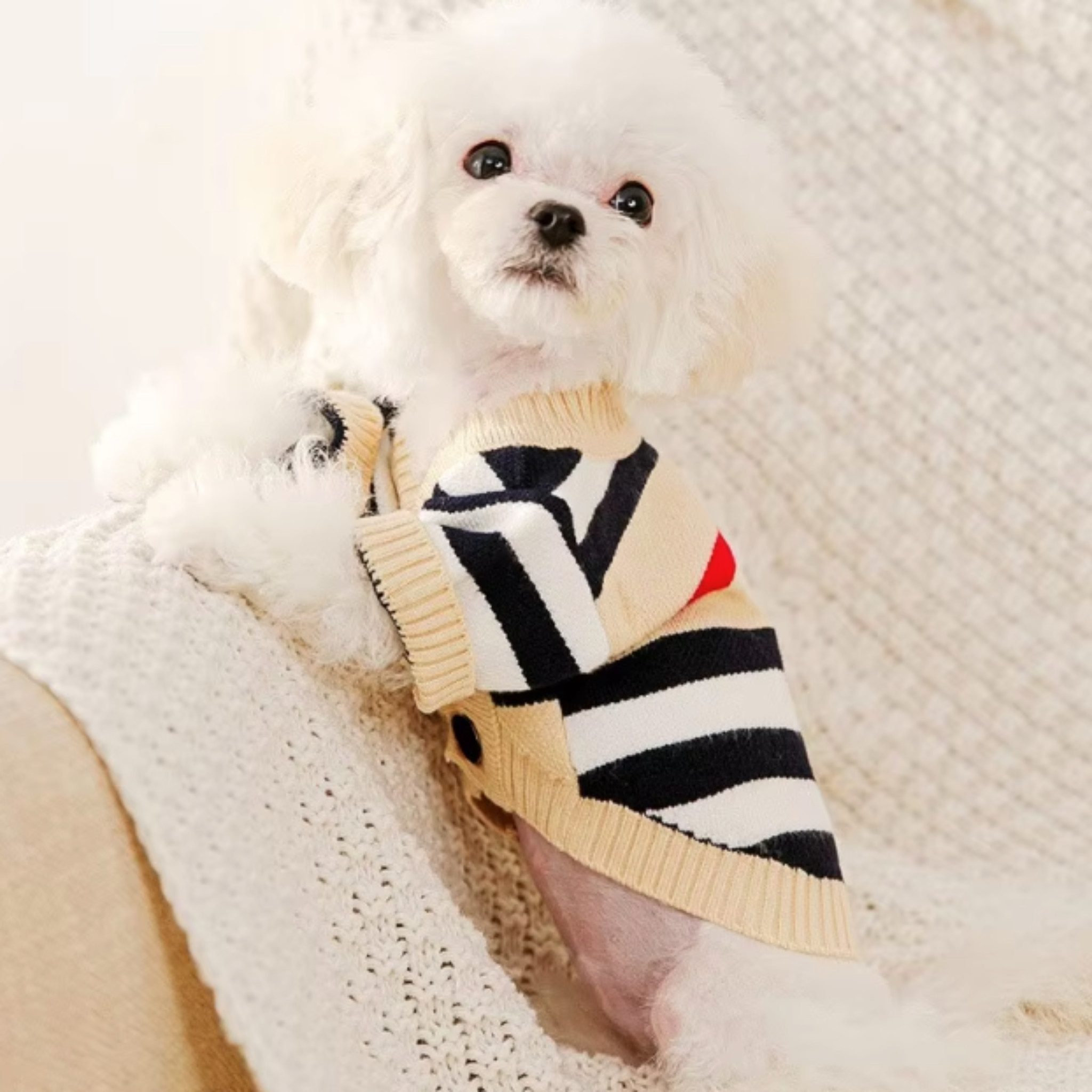 FLOCKI Pets™ Hundepullover Hunde Strickpullover, für Hunde in verschiedenen Größen, niedliches Teddy-Bär Design