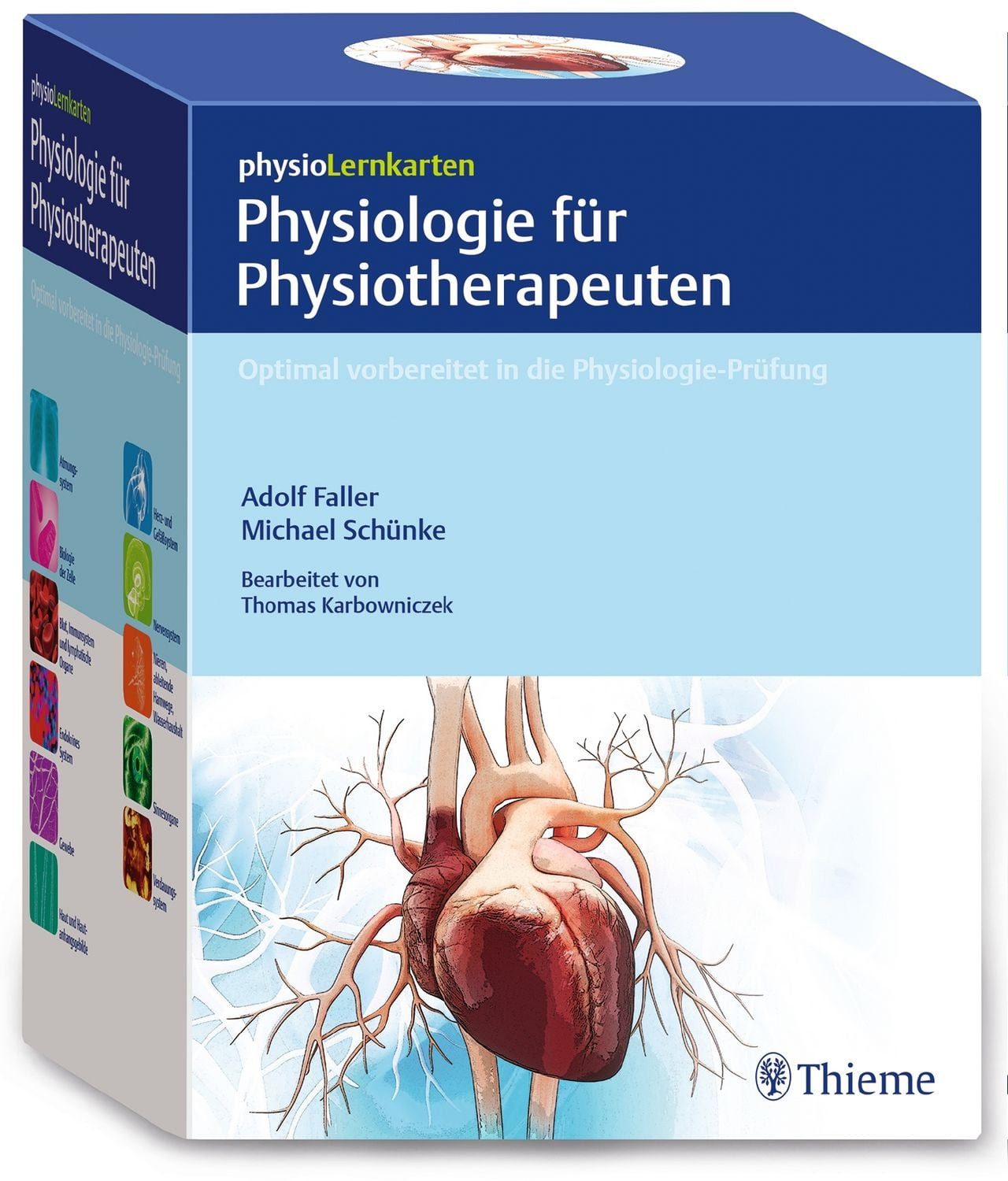 PhysioLernkarten - Physiologie für Physiotherapeuten / diverse, Optimal vorbereitet in die Physiologie-Prüfung