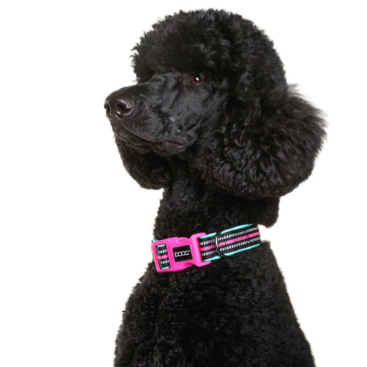 DOOG Hunde-Halsband Neon Halsband Rin Tin Tin grün/pink