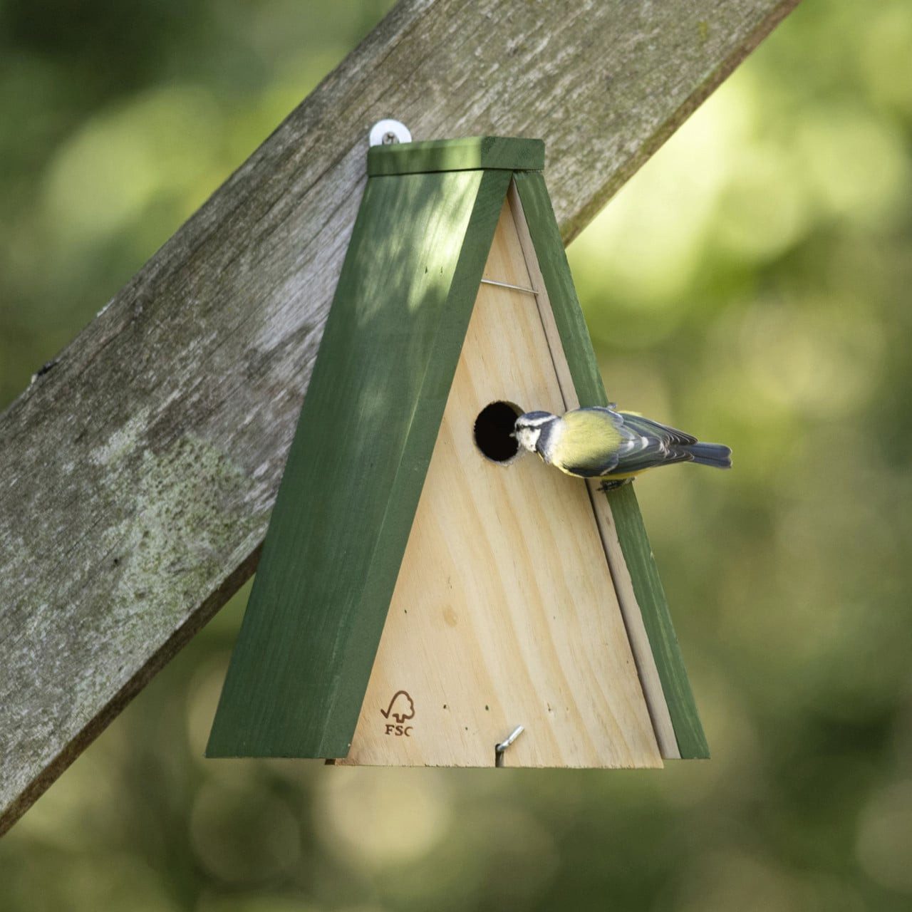 Wildlife Nistkasten CJ Wildlife Nistkasten für Wildvögel Miami 19,5 x