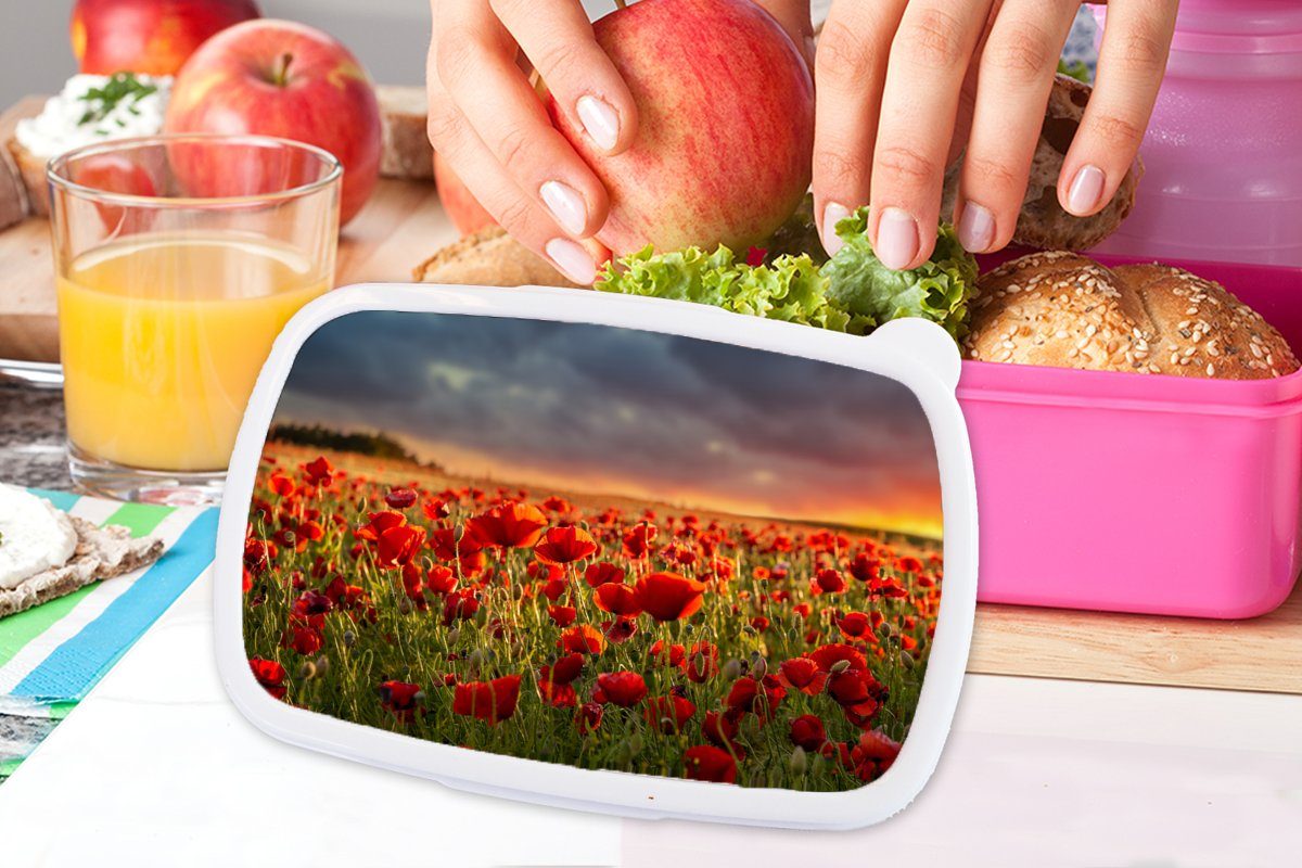Kunststoff - MuchoWow - Kunststoff, Feld Snackbox, Erwachsene, Rot Natur, Lunchbox Mädchen, Mohnblumen Kinder, - - rosa für Blumen - Sonnenuntergang (2-tlg), Brotdose Brotbox