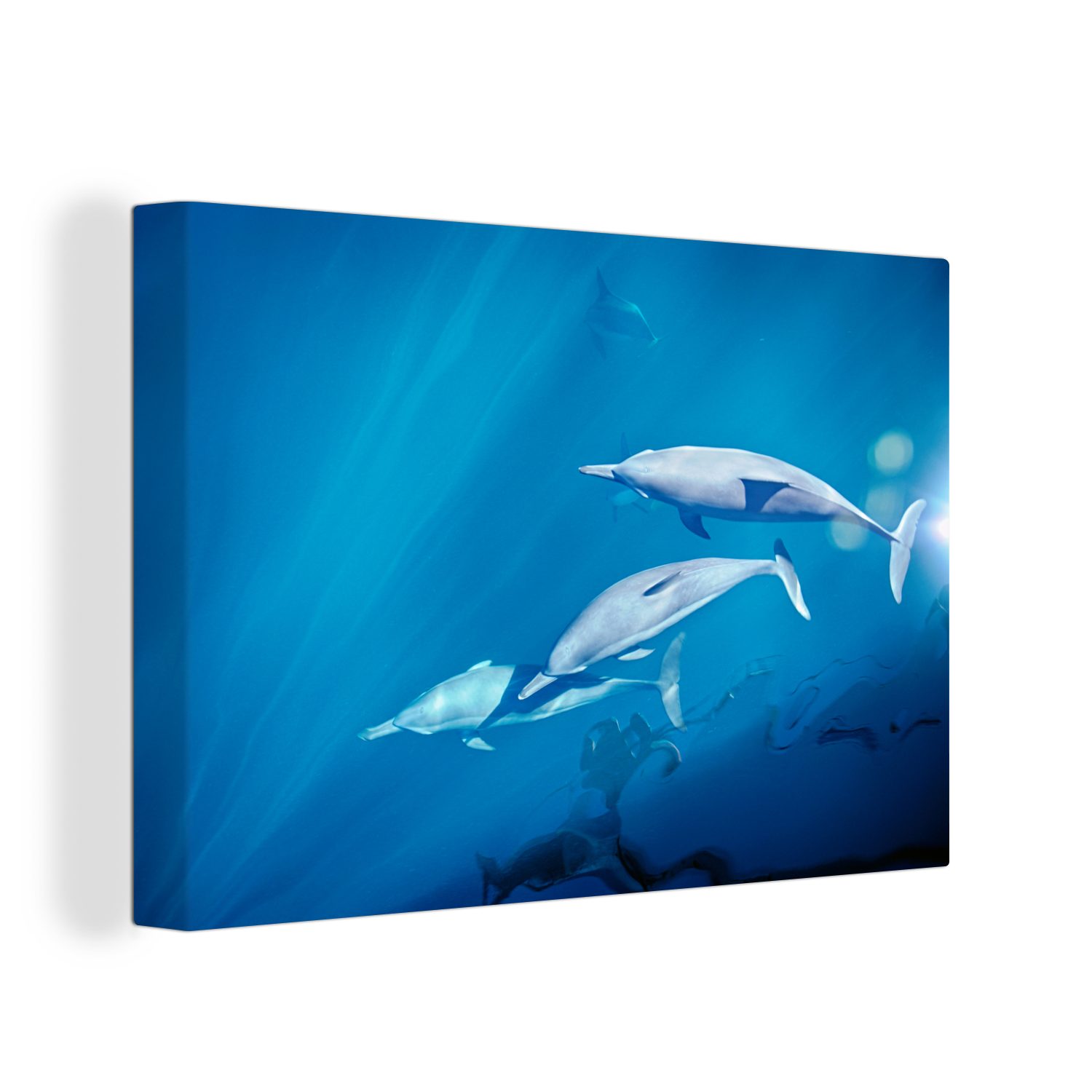 Leinwandbild cm OneMillionCanvasses® St), (1 Wandbild Delfinen Nähe im in von Wanddeko, schwimmt Wasser Eine der Aufhängefertig, Gruppe klaren Leinwandbilder, der, 30x20