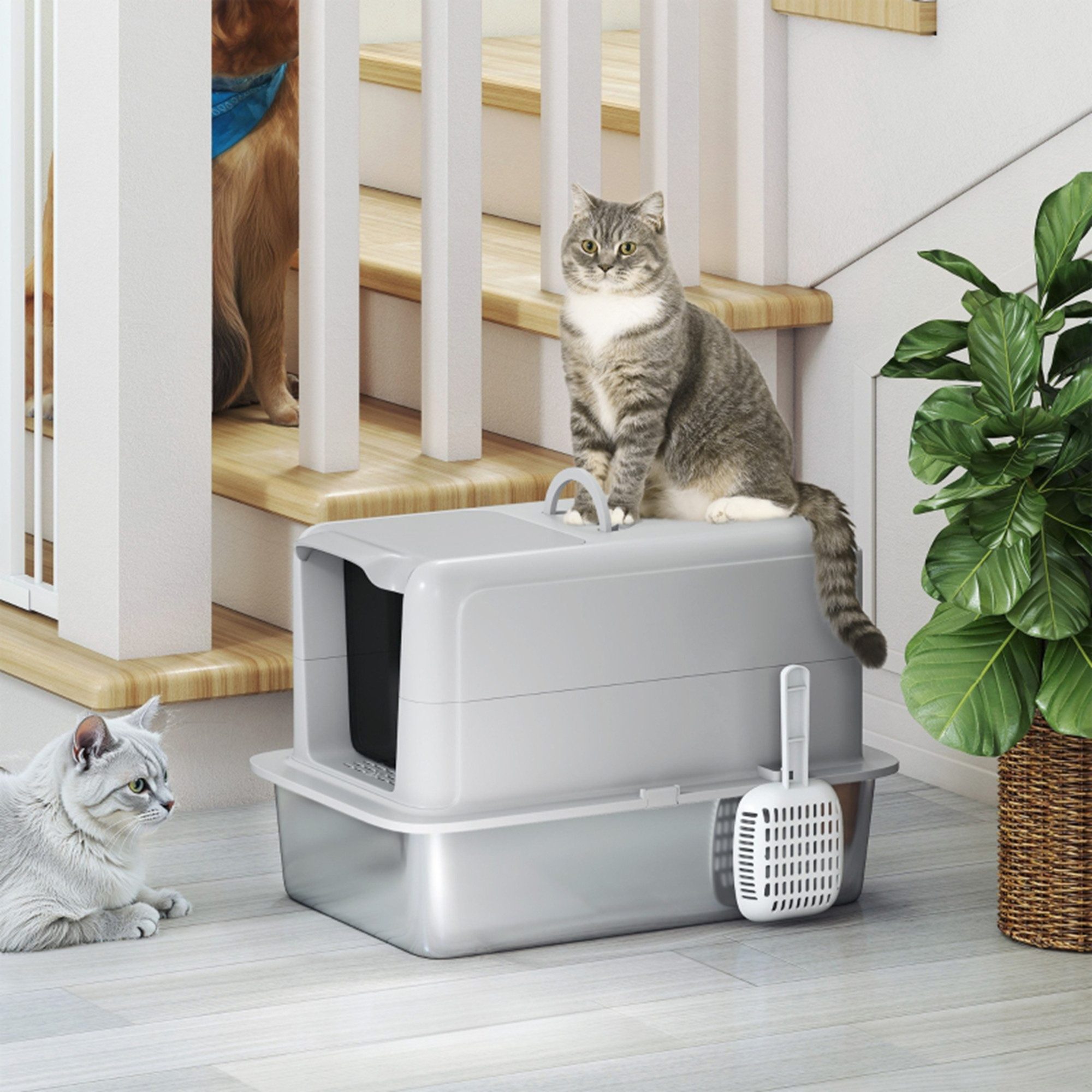 MC Star Katzentoilette Wanne aus Edelstahl, Filter, Schaufel, für Katzen bis 6 kg, 40,5 x 60,5 x 41,5 cm, Grau/Silber