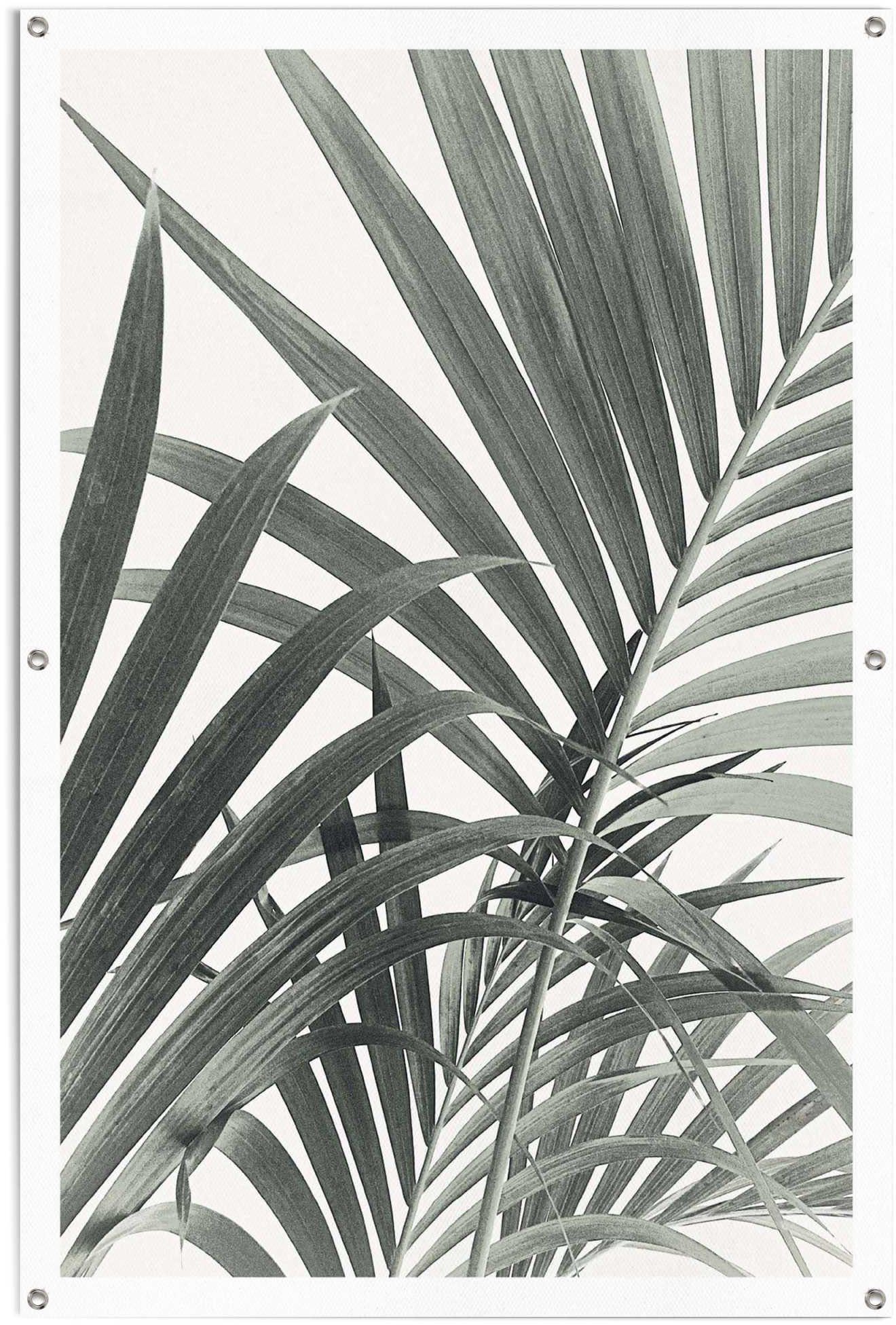 Palmenblätter, den und Poster Reinders! Gartenposter leichtes wasserfestes Außeneinsatz für