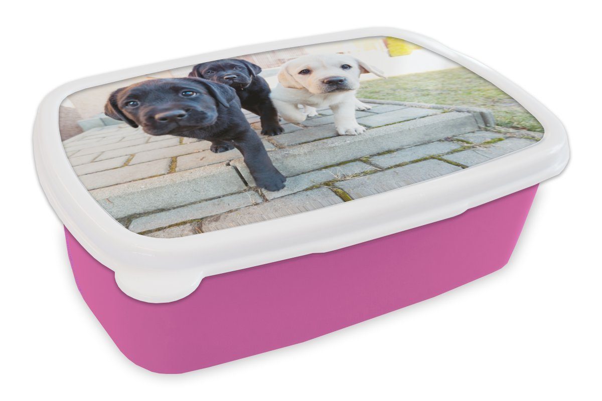 MuchoWow Lunchbox Drei Labradorwelpen, Kunststoff, (2-tlg), Brotbox für Erwachsene, Brotdose Kinder, Snackbox, Mädchen, Kunststoff rosa
