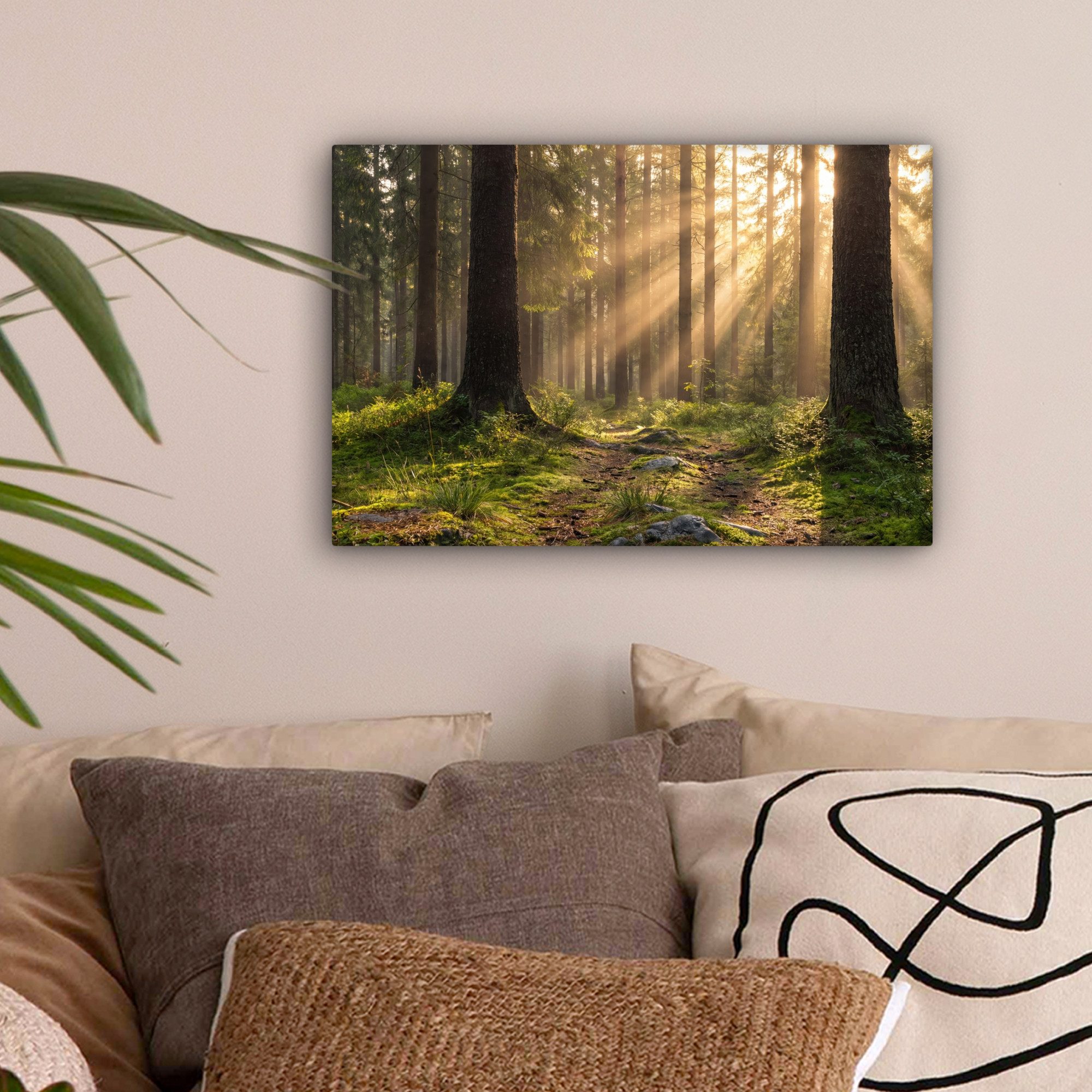 OneMillionCanvasses® Leinwandbild Wald - Sonnenlicht - Gras, Fotodruck (1 St), Leinwand Canvas Wandbild, Wanddekoration 20x30 cm – Bild 2 von 5
