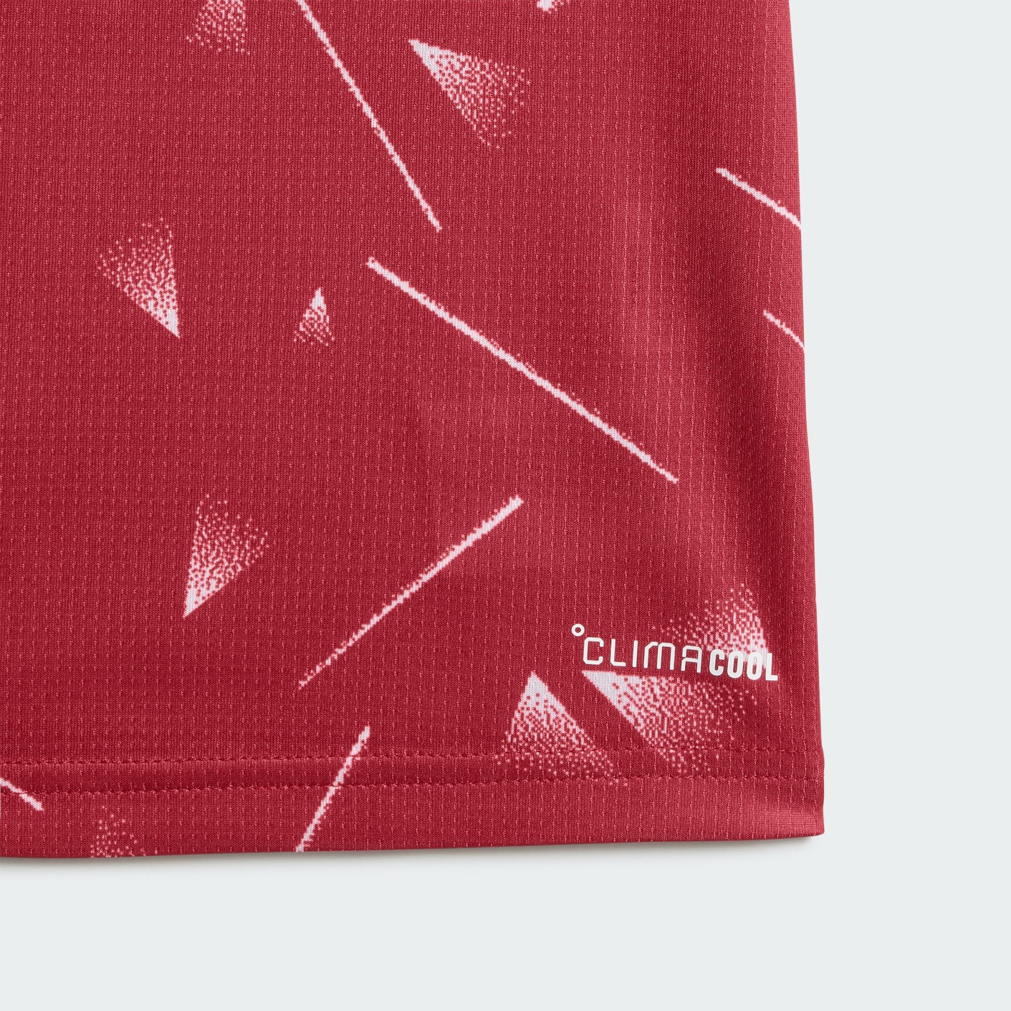 adidas Performance Fußballtrikot (1-tlg)