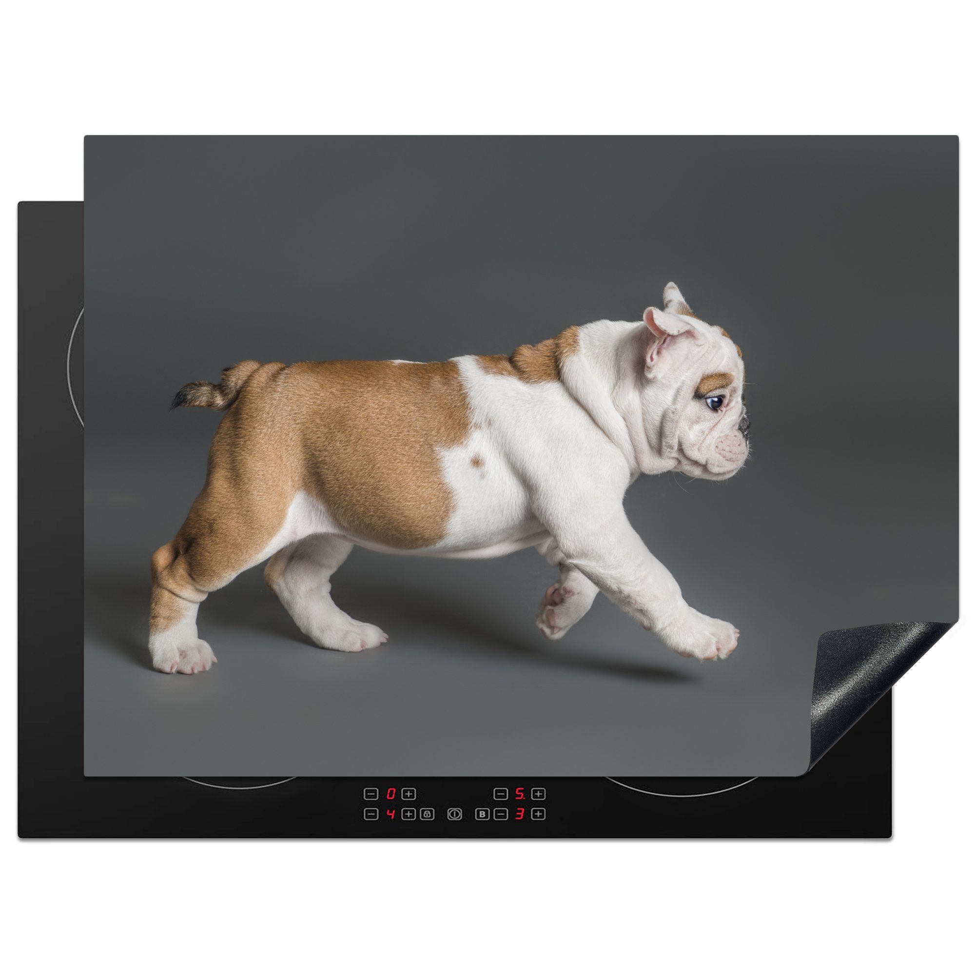 MuchoWow Herdblende-/Abdeckplatte Bulldoggenwelpe in Aktion, Vinyl, (1 tlg), 70x52 cm, Mobile Arbeitsfläche nutzbar, Ceranfeldabdeckung