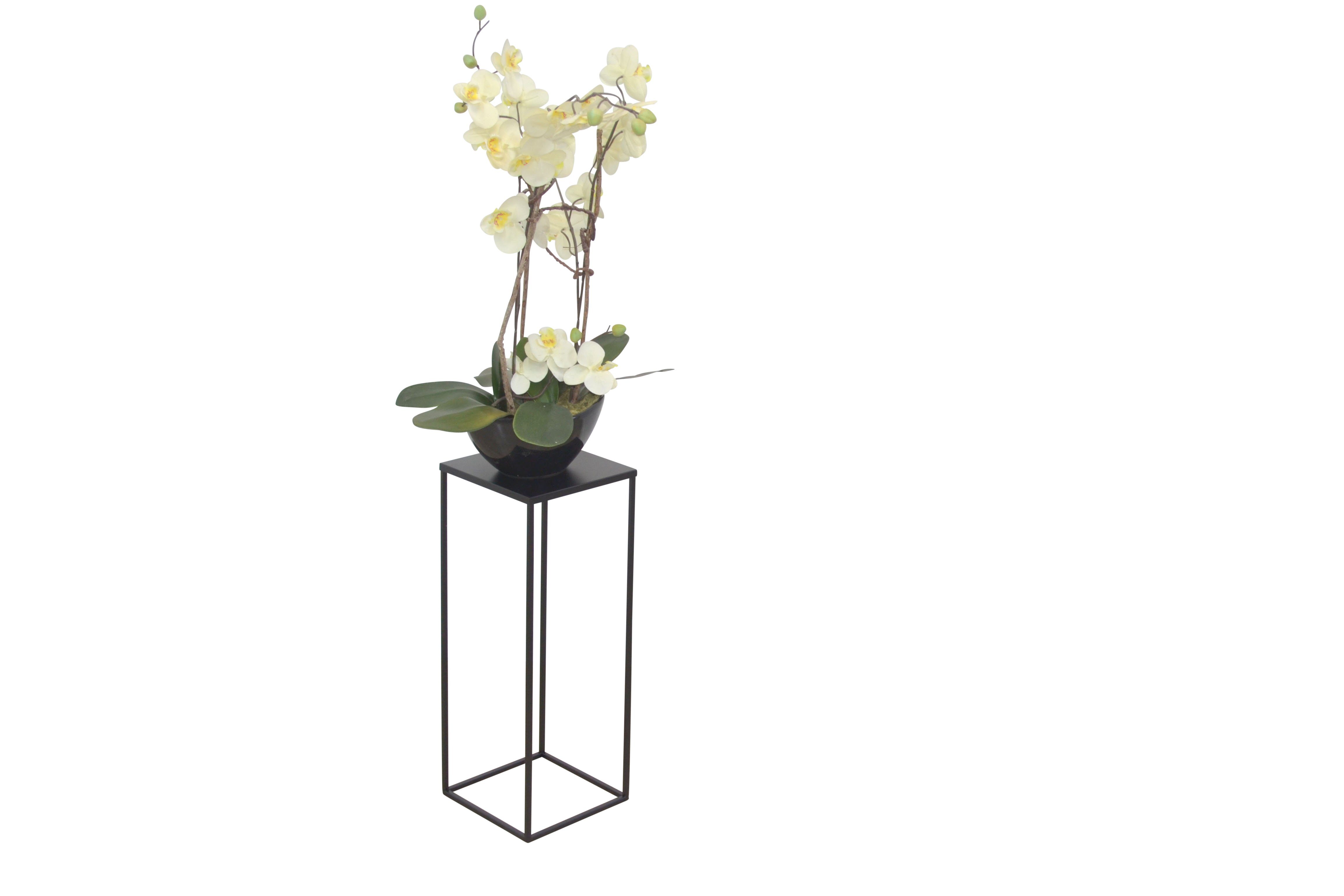 moebel-direkt-online Blumentisch Iris (In drei Farben lieferbar, In drei Hö günstig online kaufen