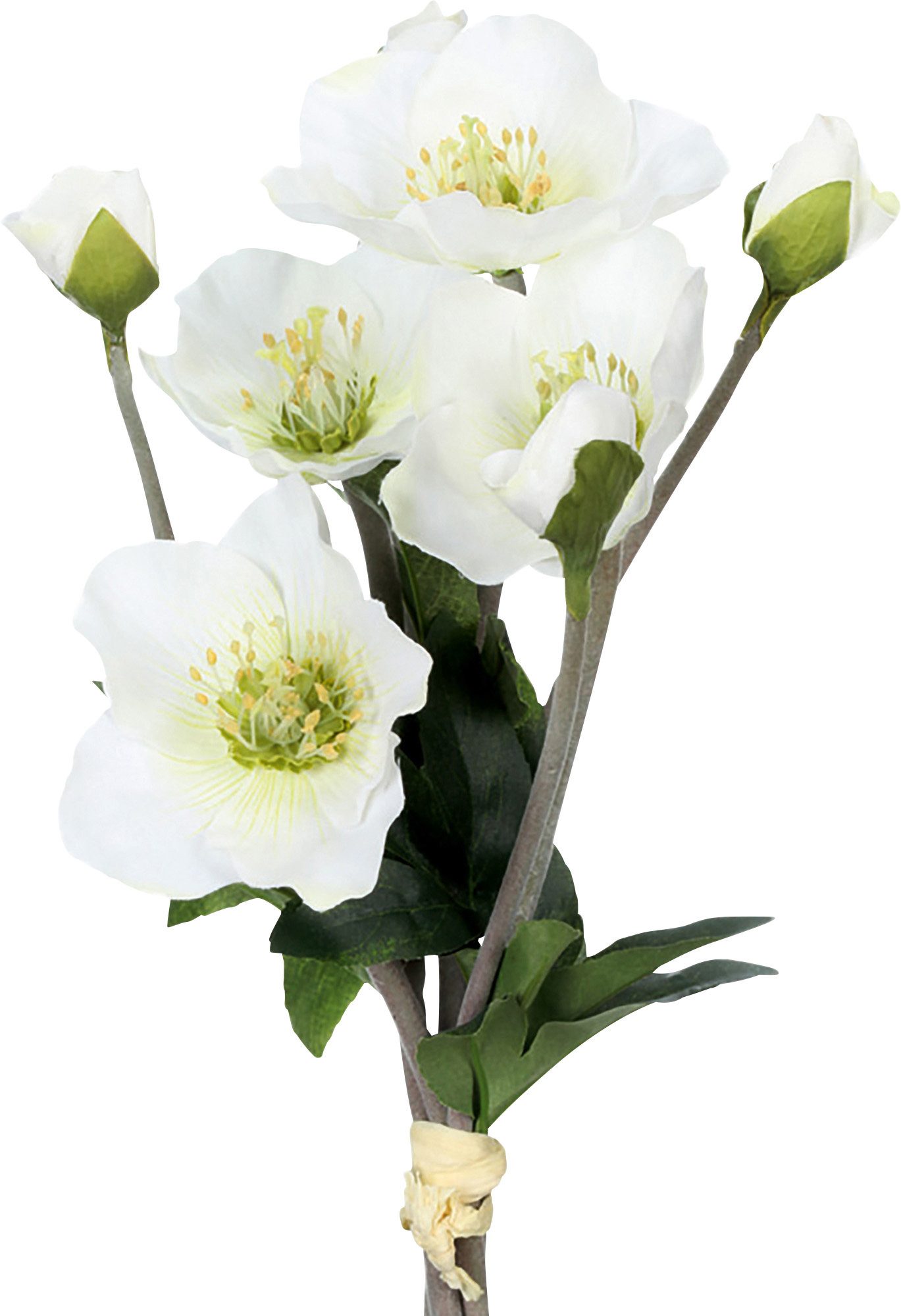 Kunstpflanze Kunstpflanze Christrosenbund im 4er-Set günstig online kaufen