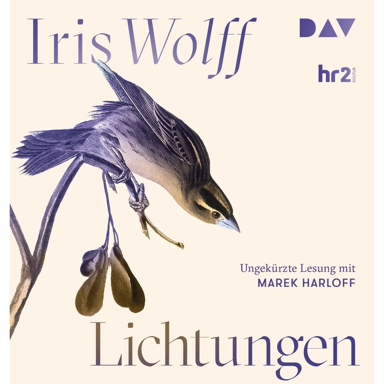 Der Audio Verlag Hörspiel Lichtungen