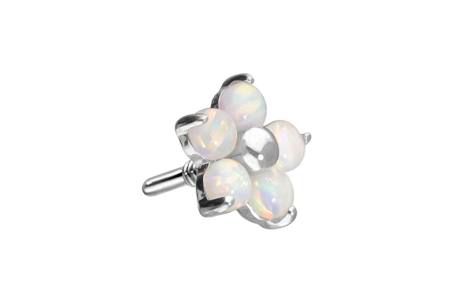 PIERCINGLINE Piercing-Set 14 Karat Gold Schraubaufsatz günstig online kaufen