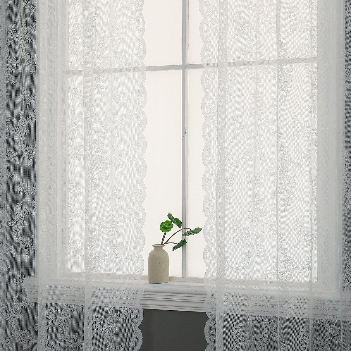 Spitze, Home Wohnzimmer, Scheibengardine transparent, Decor, für Blumenmuster, (1 Transparent, Fenstervorhänge, St), Sunicol, Schlafzimmer