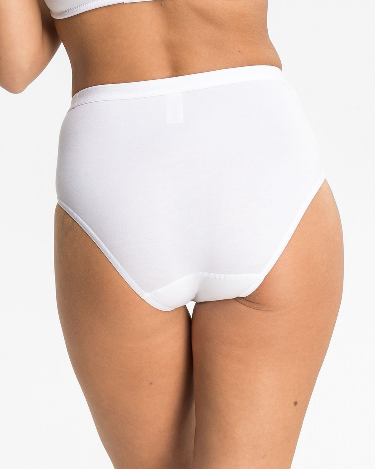 Speidel Slip EVERYDAY klassischer Slip mit toller Passform für jeden Tag