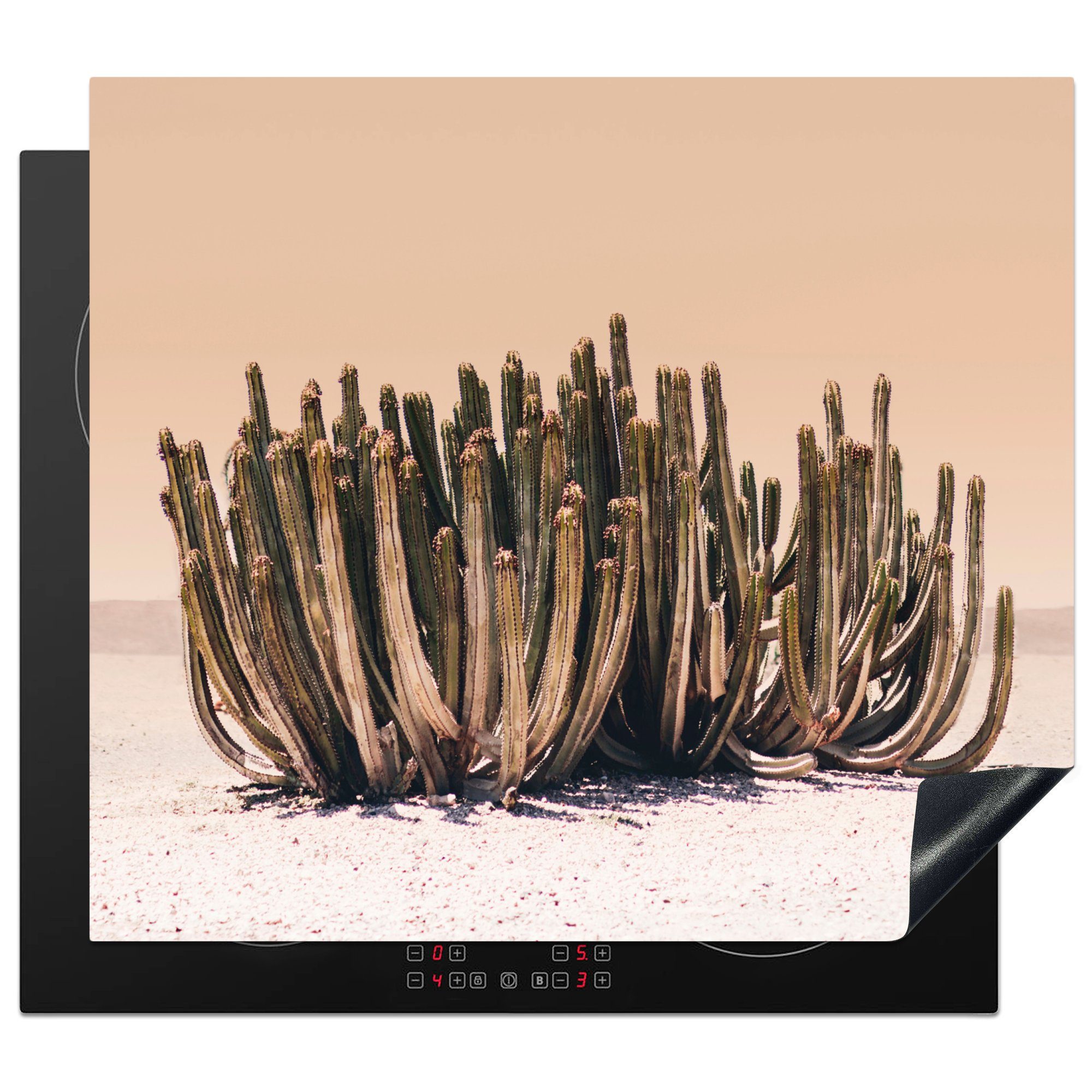 MuchoWow Herdblende-/Abdeckplatte Kaktus - cm, nutzbar, - Ceranfeldabdeckung Mobile Arbeitsfläche 60x52 tlg), Vinyl, Grün, Pflanze - Natur (1