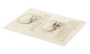 Posterlounge Poster Leonardo da Vinci, Der Schädel, Illustration
